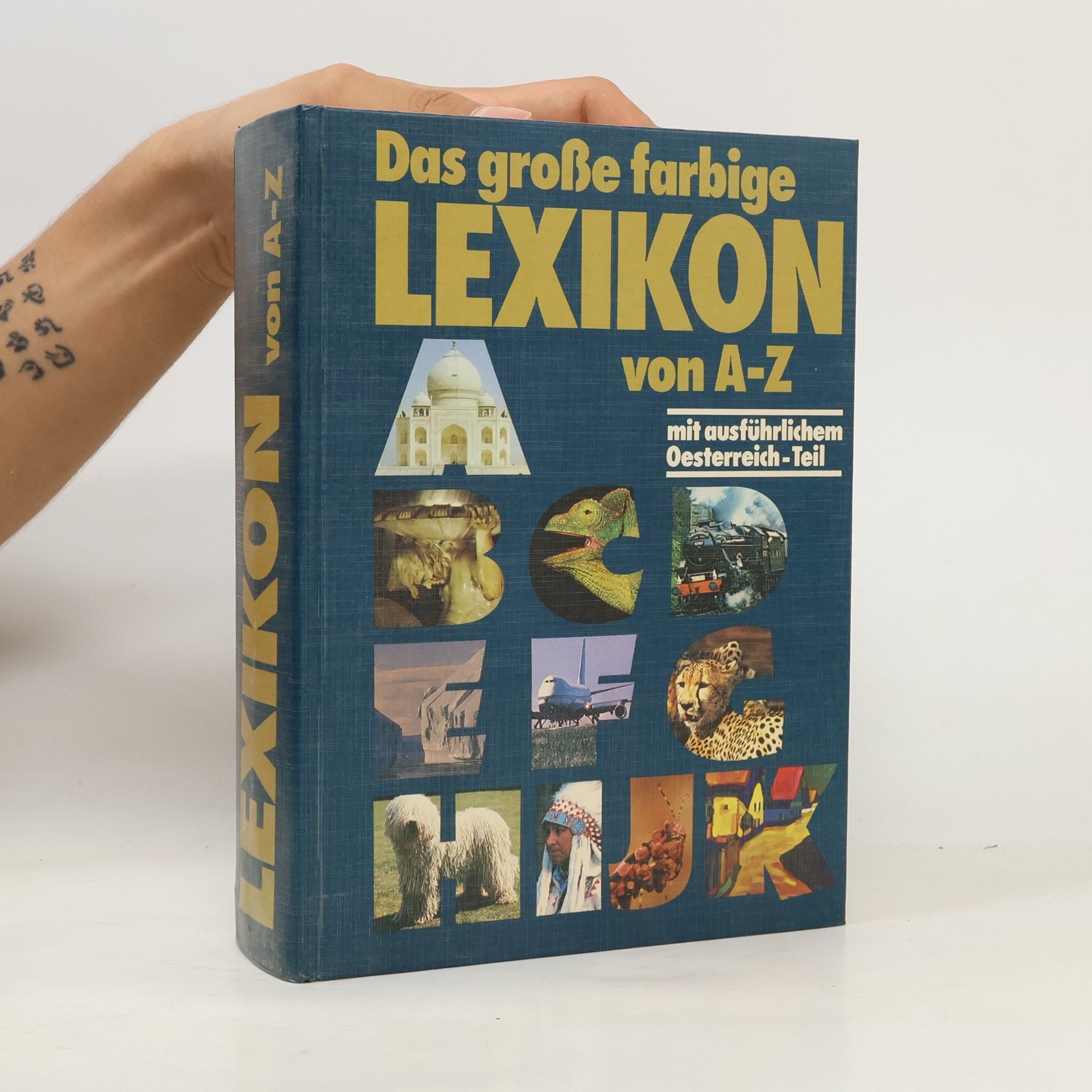 Kolektív autorov Das große farbige Lexikon von A-Z
