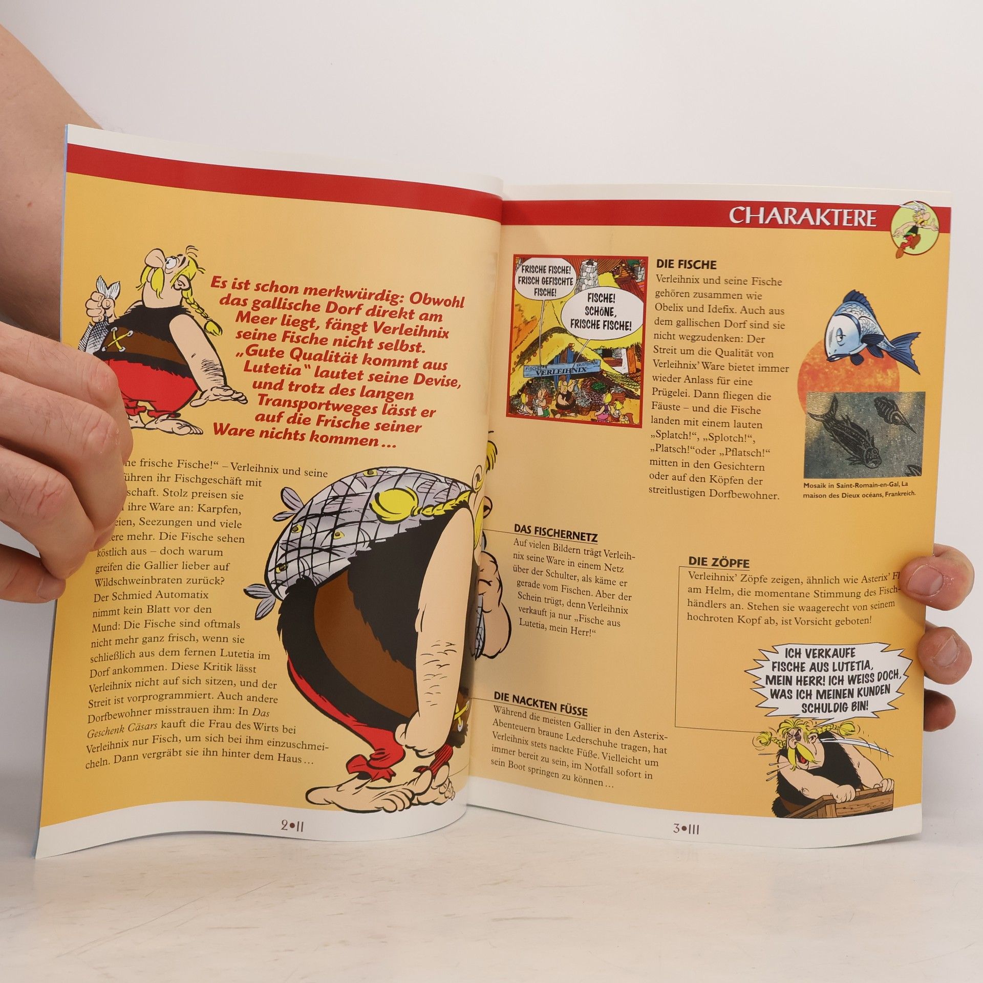 Kolektiv autorů Asterix und seine Welt 9