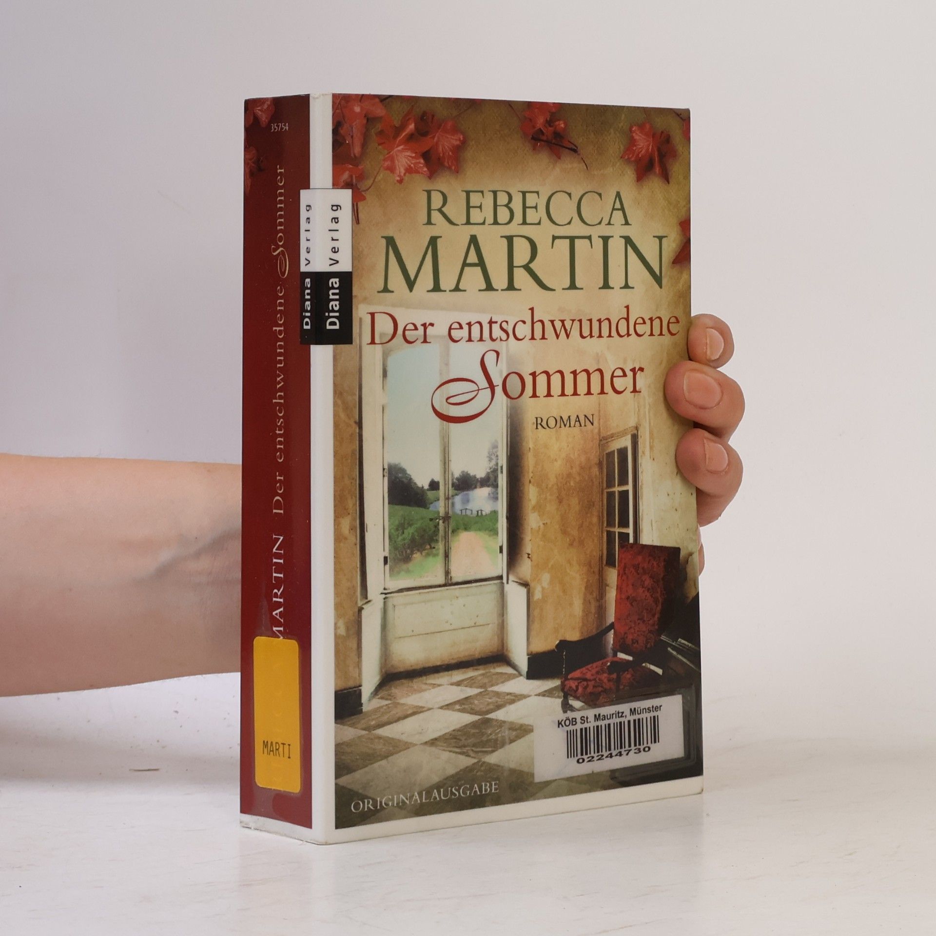 Rebecca Martin Der entschwundene Sommer