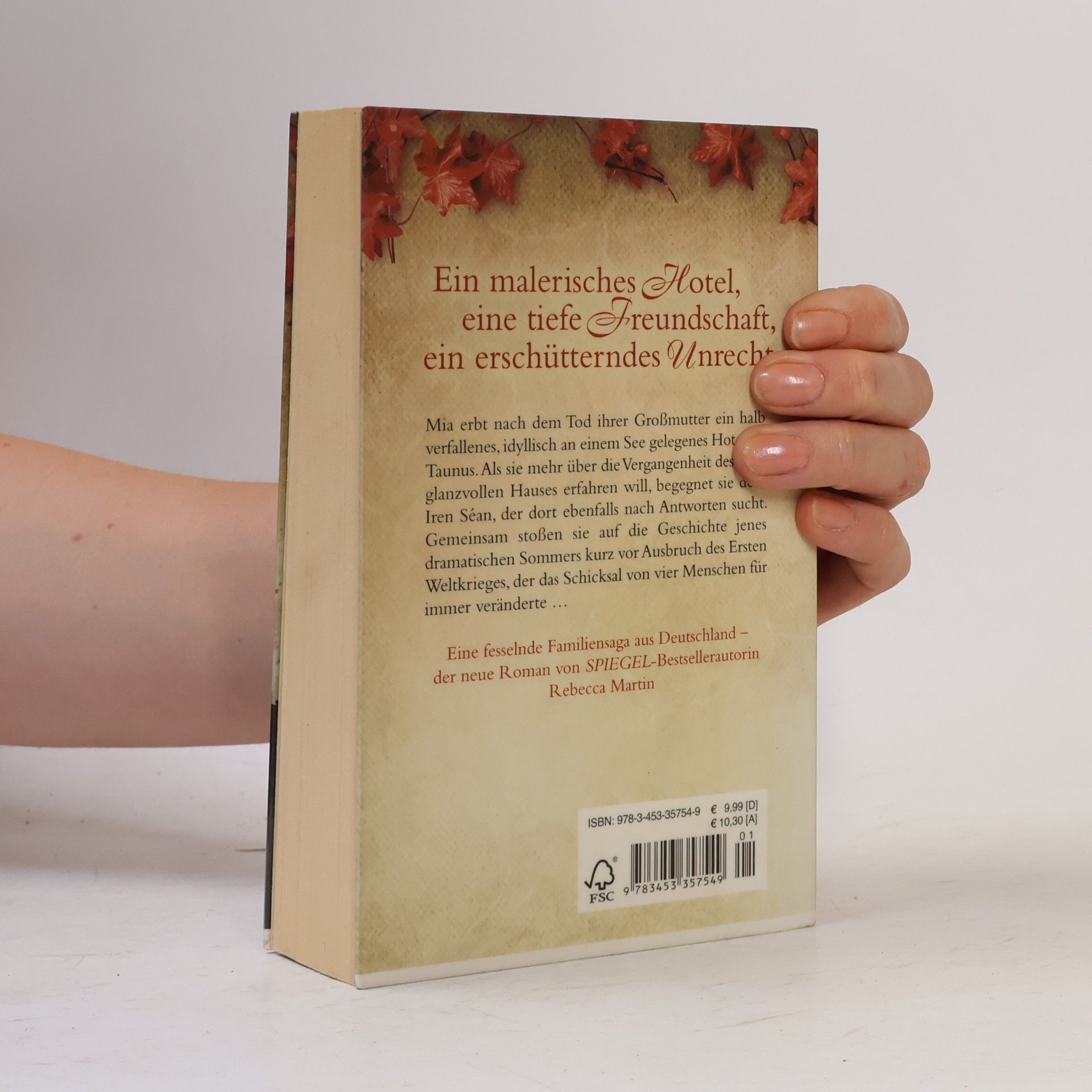 Rebecca Martin Der entschwundene Sommer