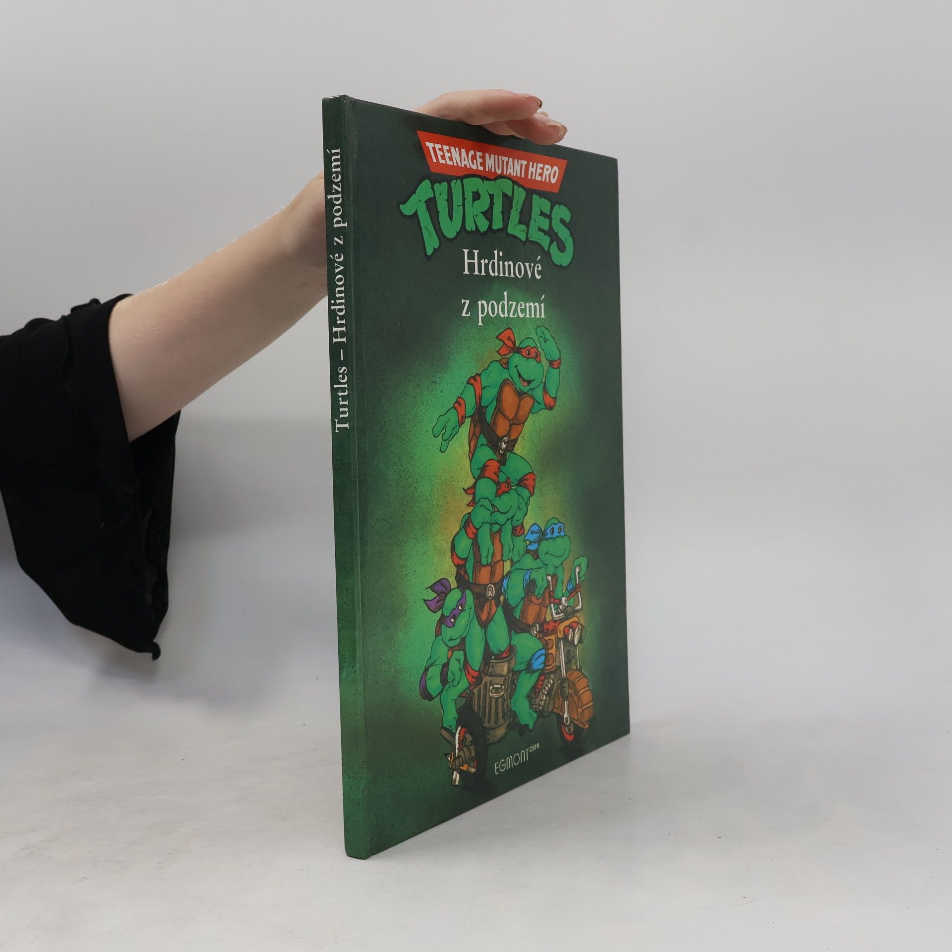 Maureen Spurgeon Teenage Mutant Ninja Turtles. Hrdinové z podzemí