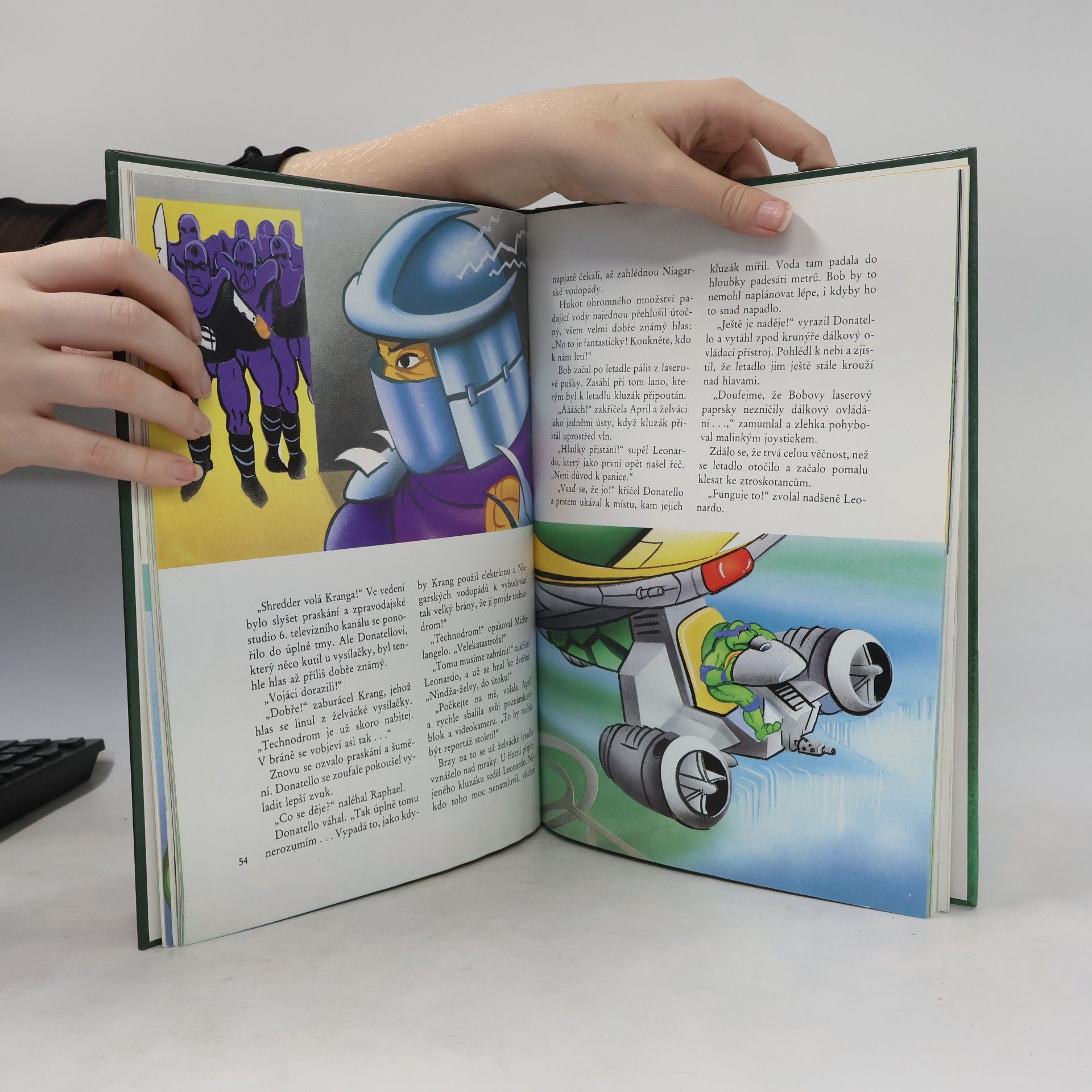 Maureen Spurgeon Teenage Mutant Ninja Turtles. Hrdinové z podzemí