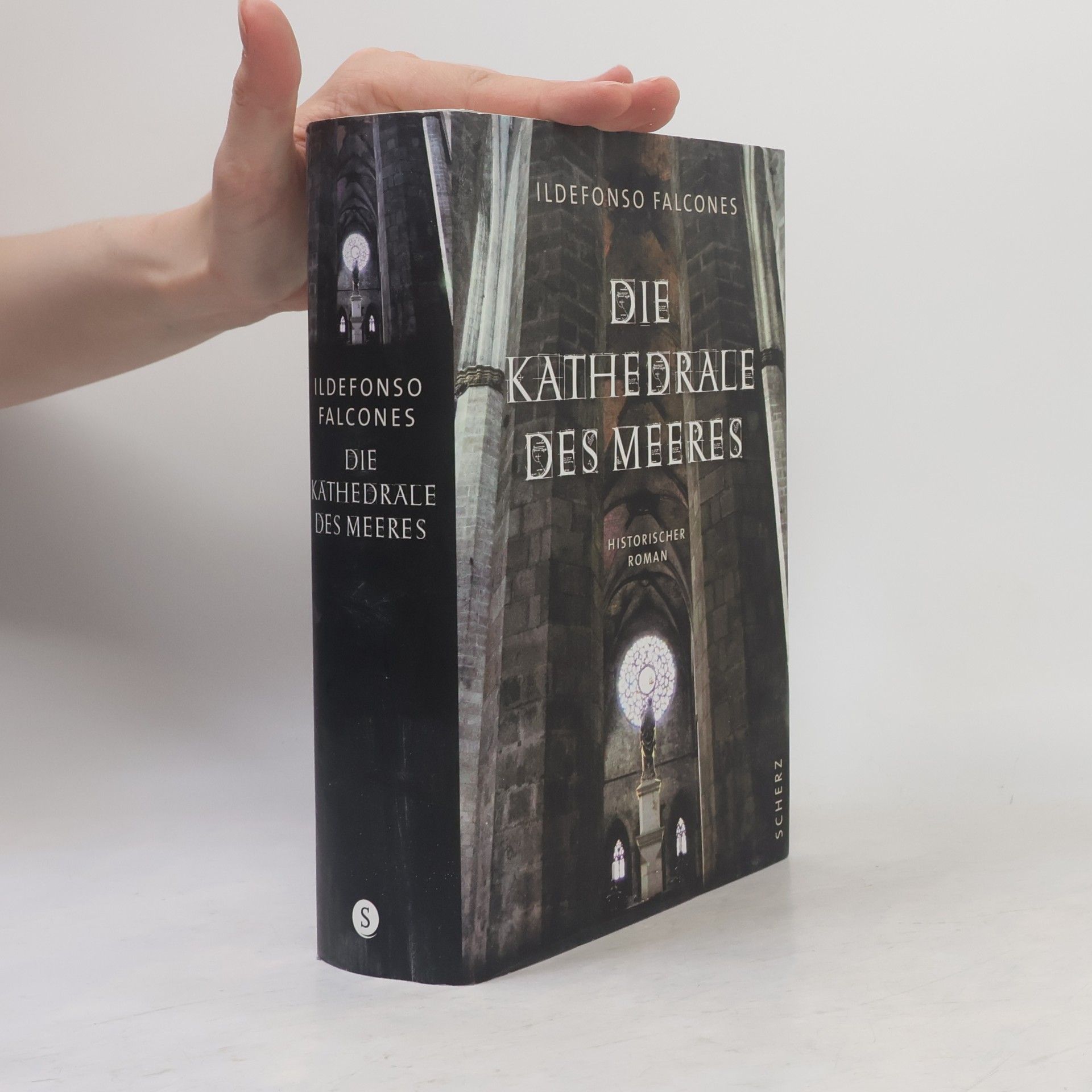 Ildefonso Falcones Die Kathedrale des Meeres