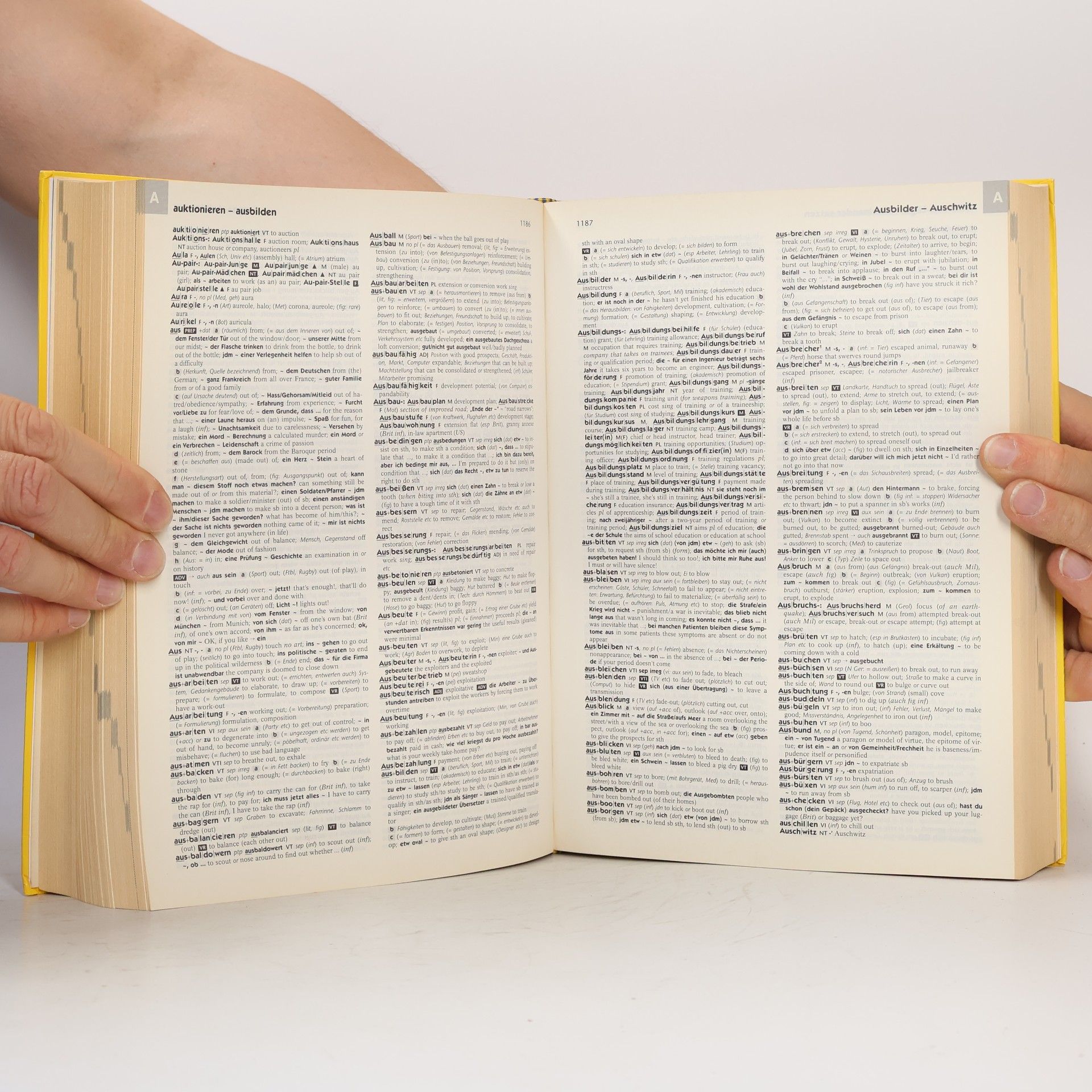 Lorna Sinclair-Knight Langenscheidt, Collins, großes Studienwörterbuch Englisch