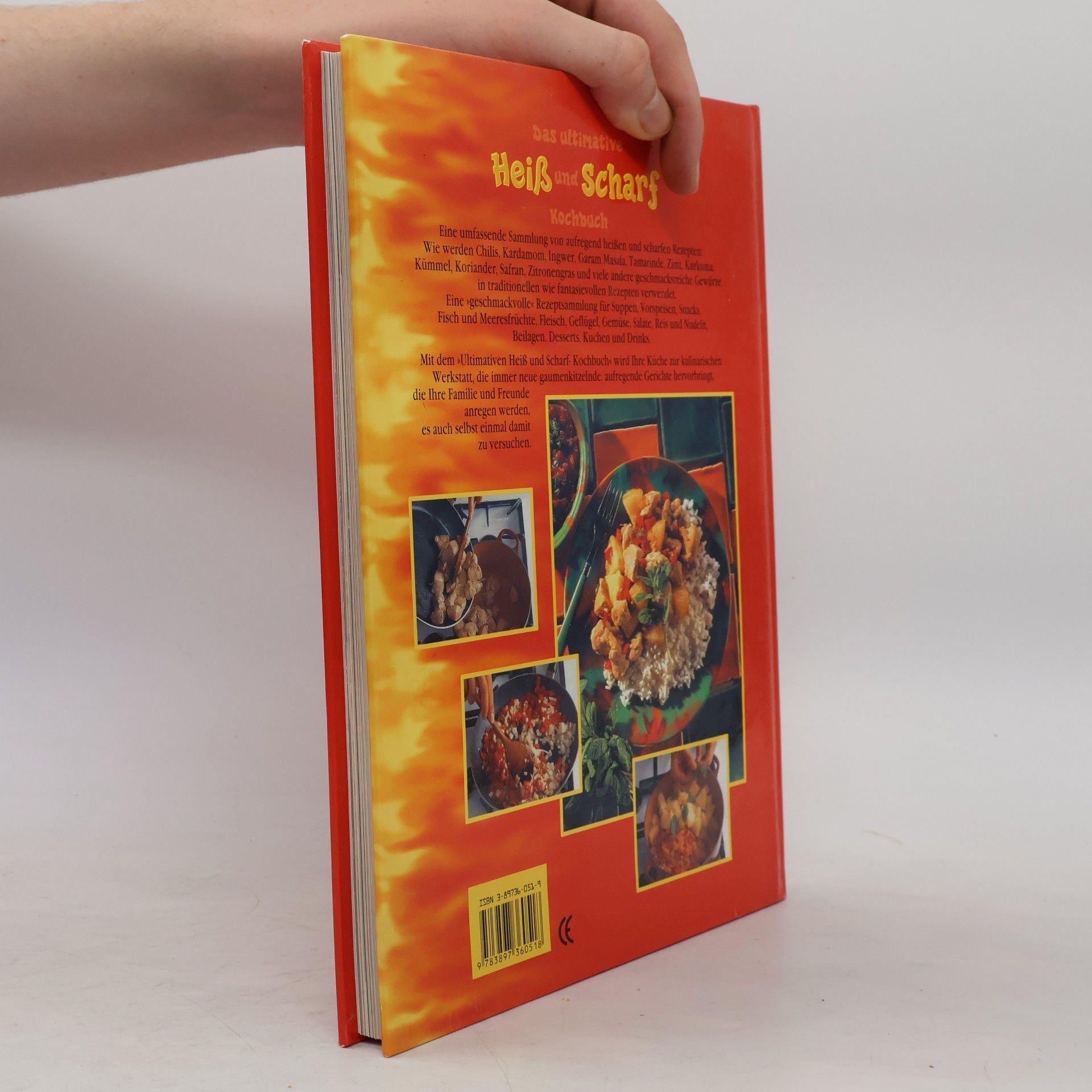 Katharina Lisson Das ultimative Heiß-und-scharf-Kochbuch