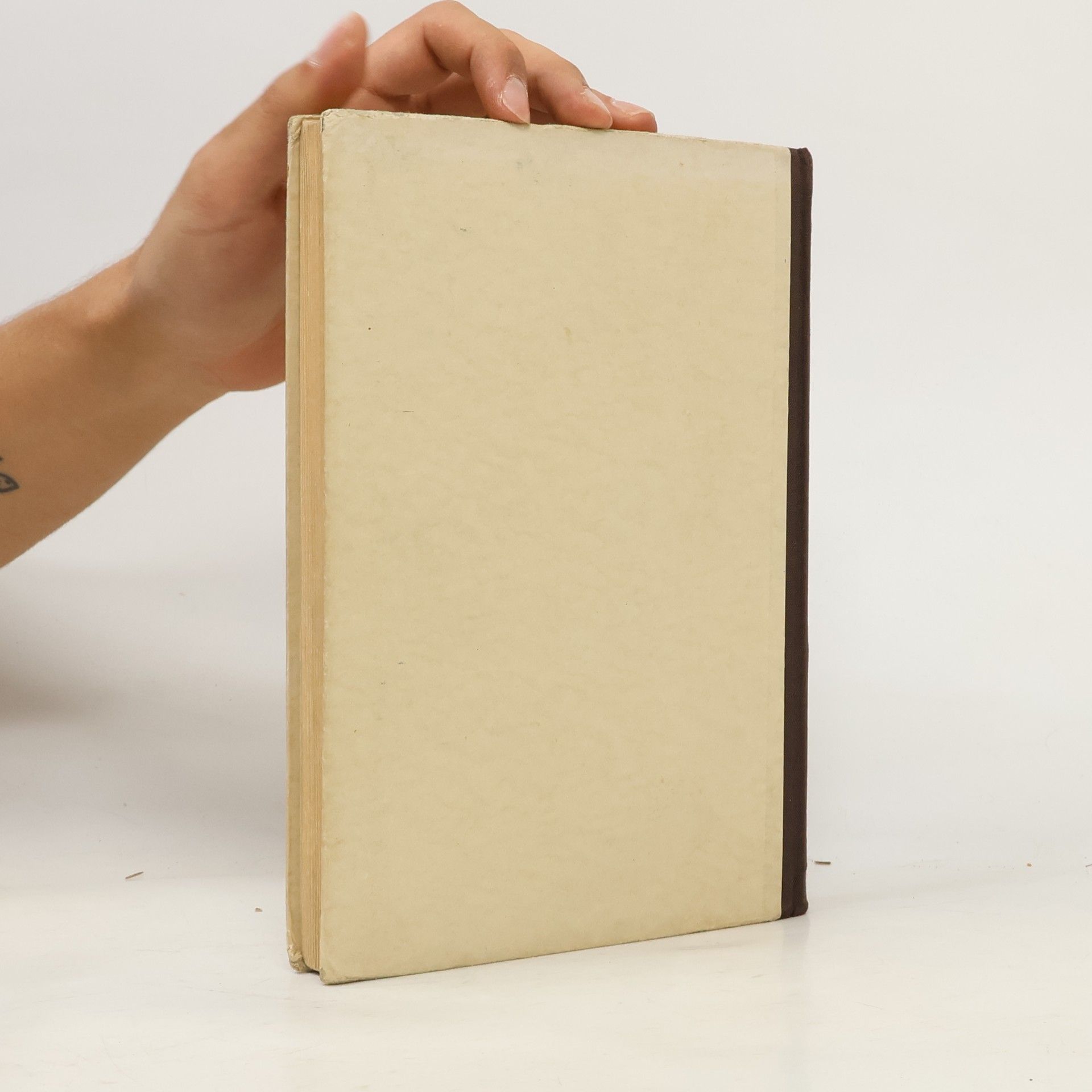 kolektiv Biblische Geschichte und Geschichte der katholischen Kirche