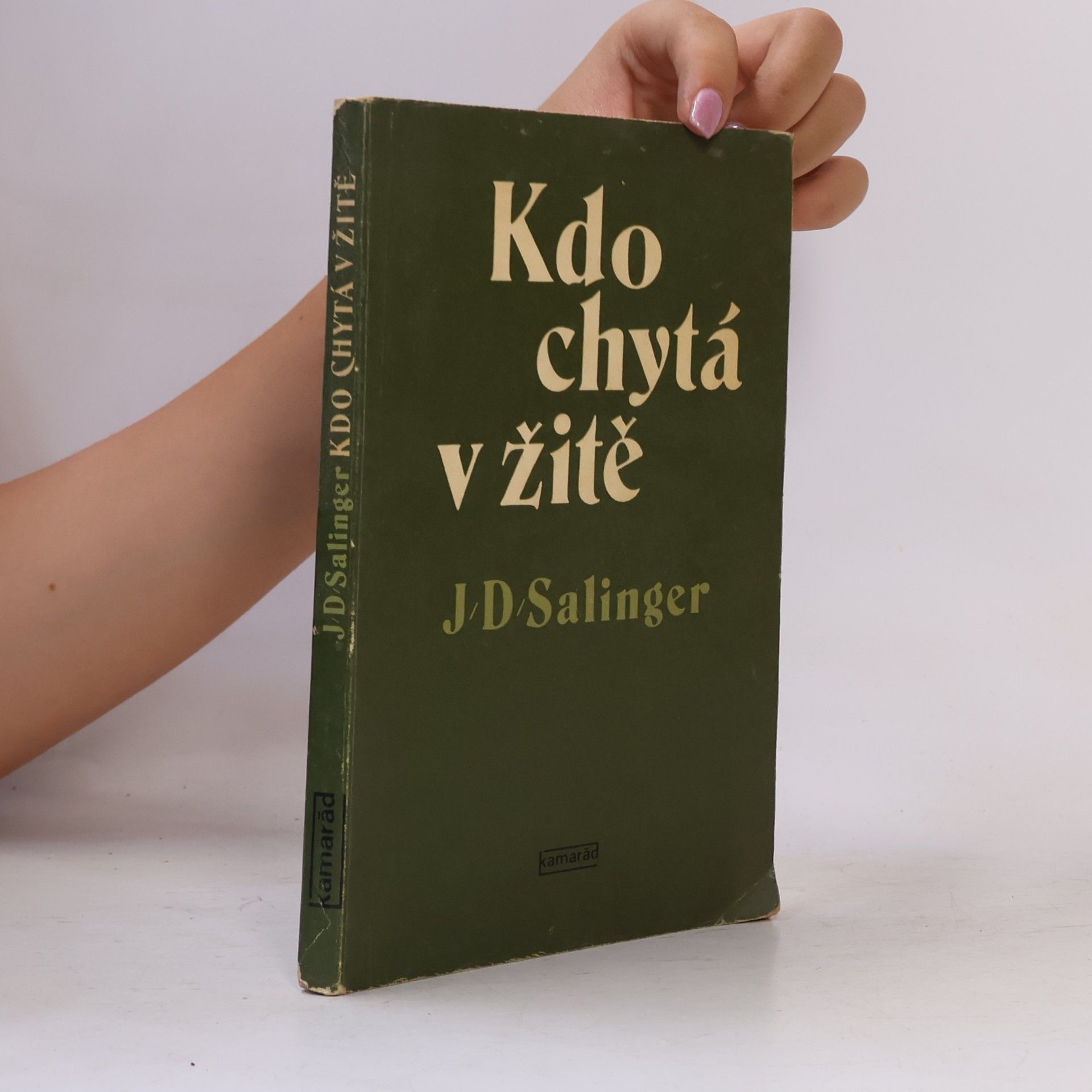 J. D. Salinger Kdo chytá v žitě