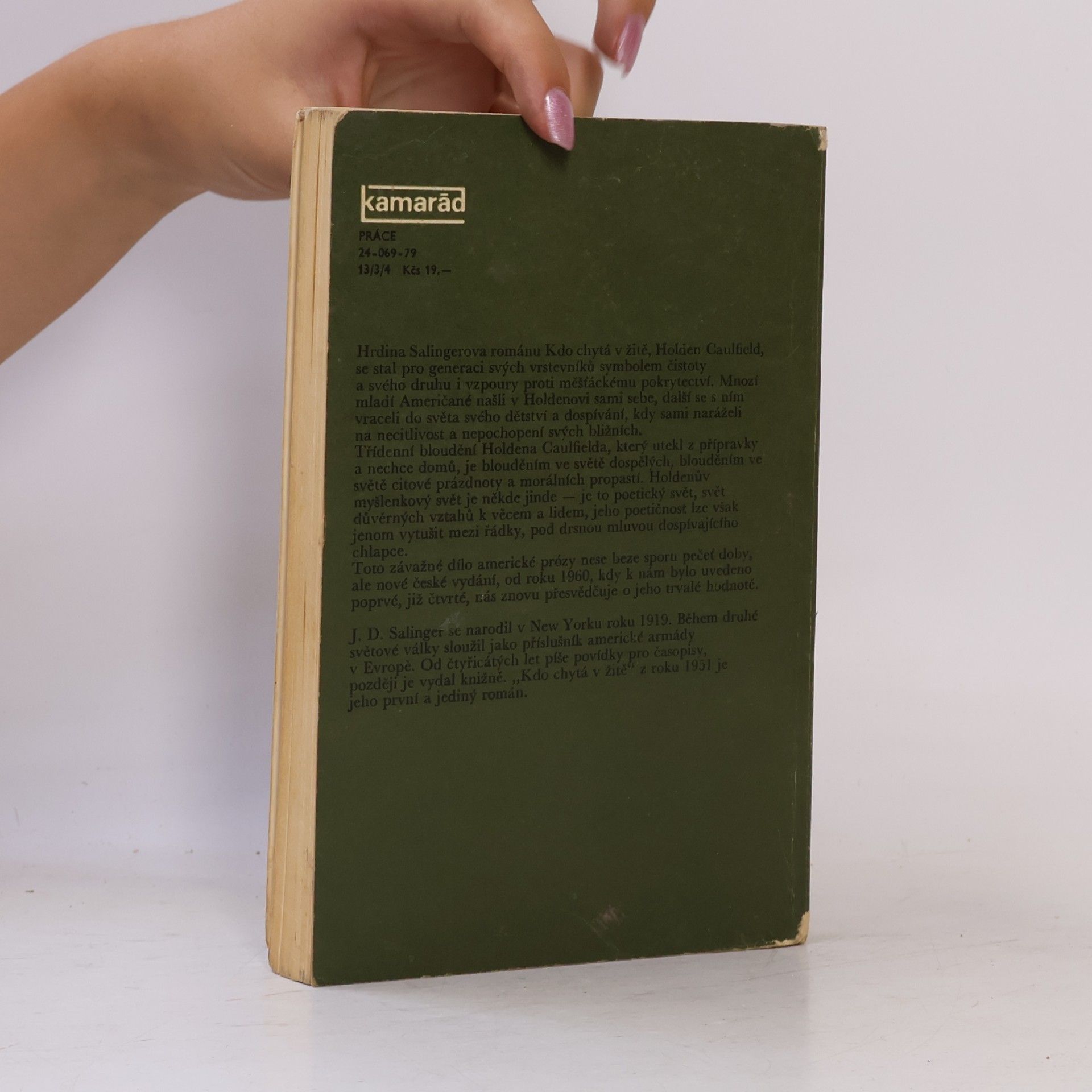 J. D. Salinger Kdo chytá v žitě