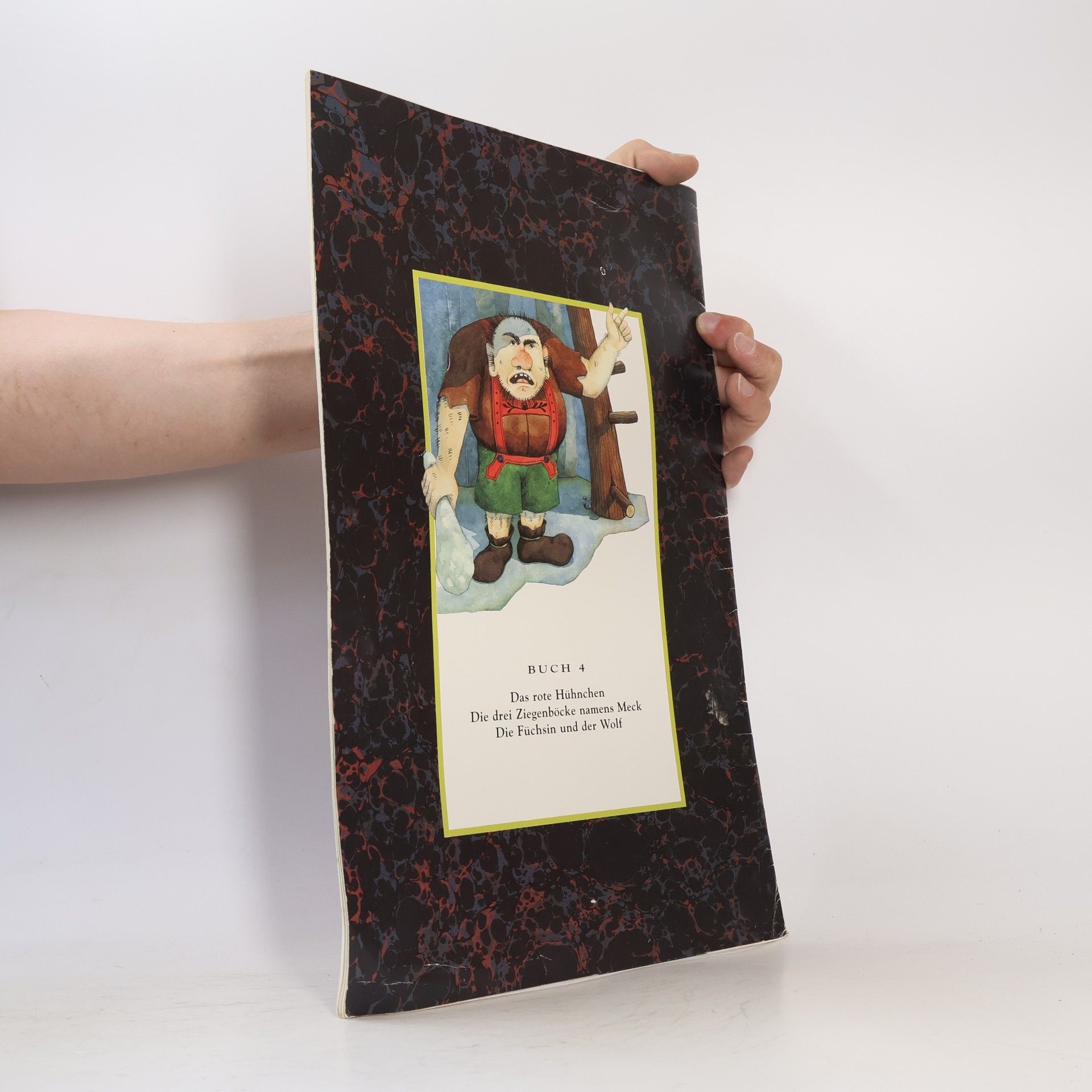 kolektiv Das Grosse Marchenbuch