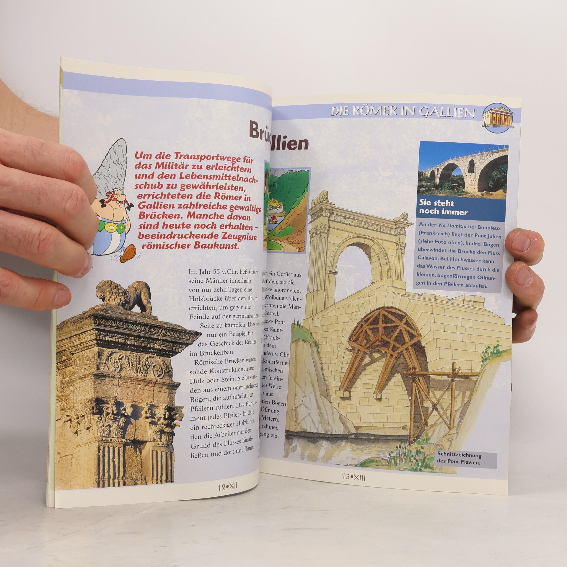 Kolektiv autorů Asterix und seine Welt 22