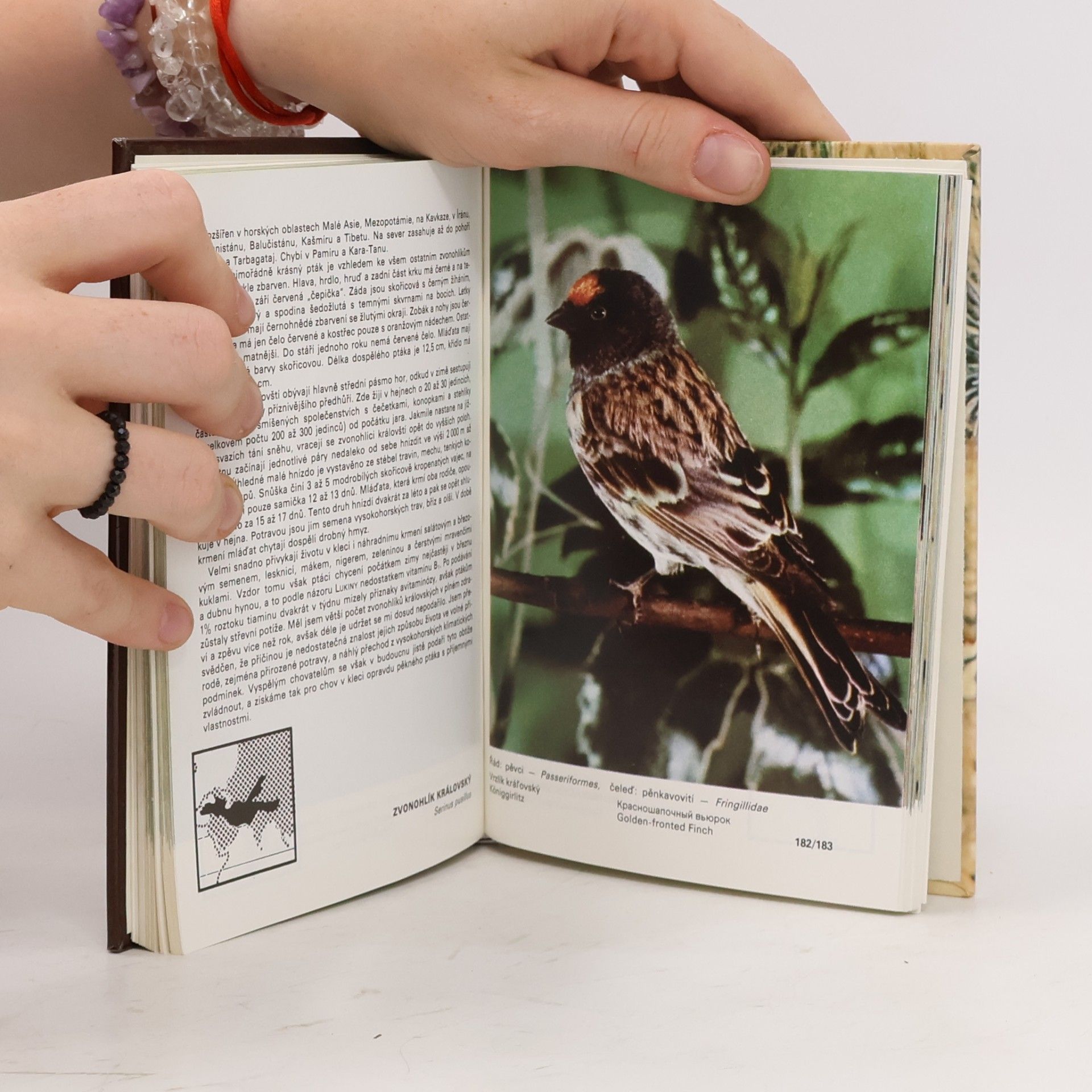 Zdeněk Veger Kapesní atlas cizokrajných ptáků