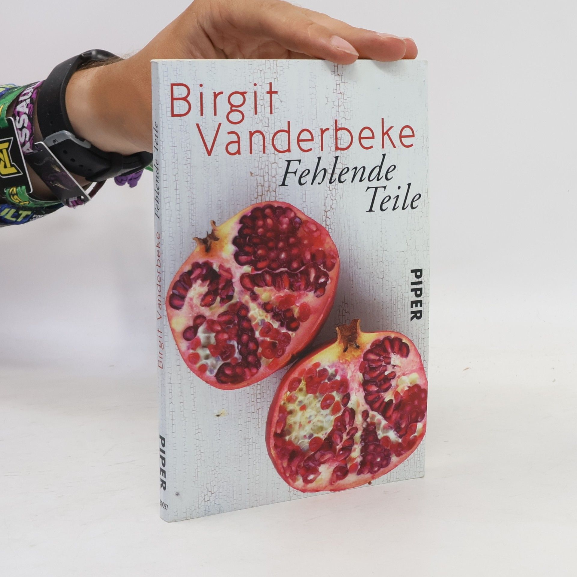 Birgit Vanderbeke Fehlende Teile