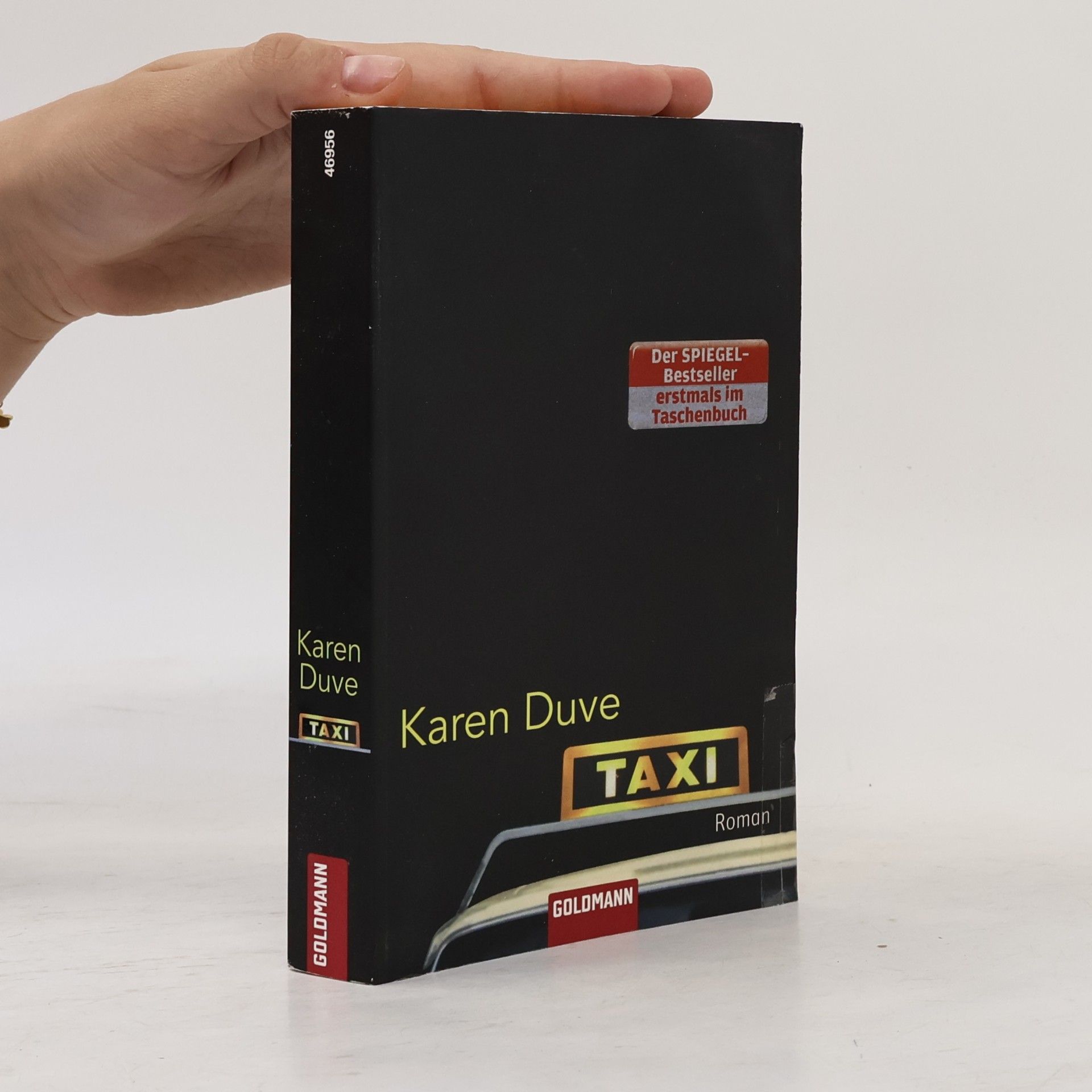 Karen Duve Taxi