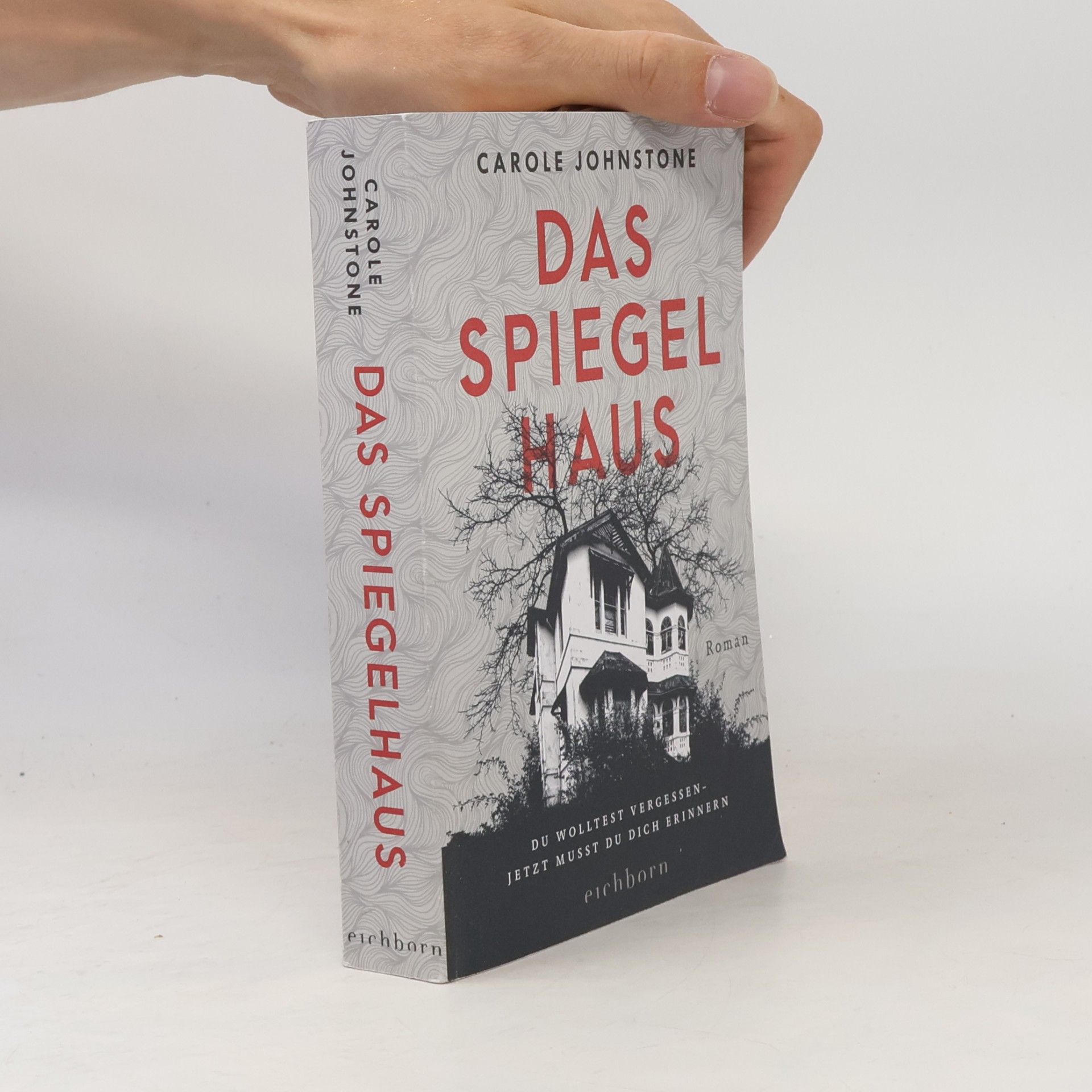Carole Johnstone Das Spiegelhaus