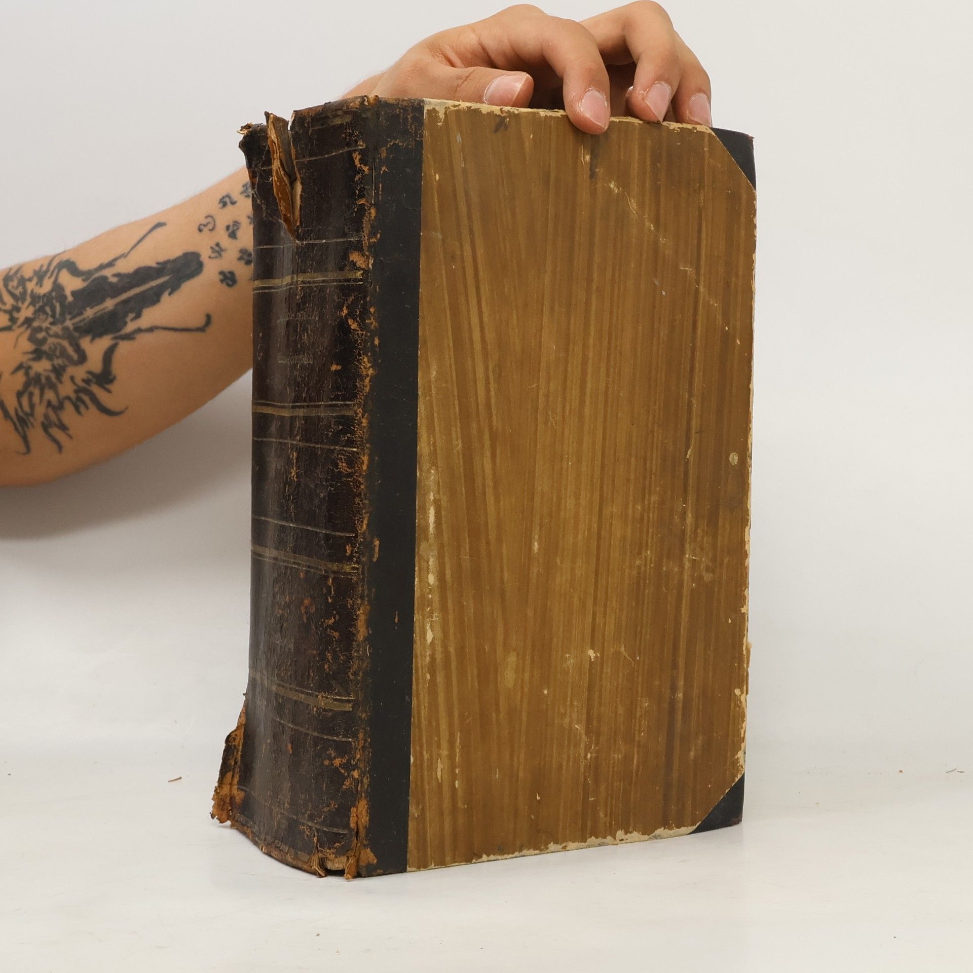 Lateinisch-Deutsches und Deutsch-Lateinisches Handwörterbuch