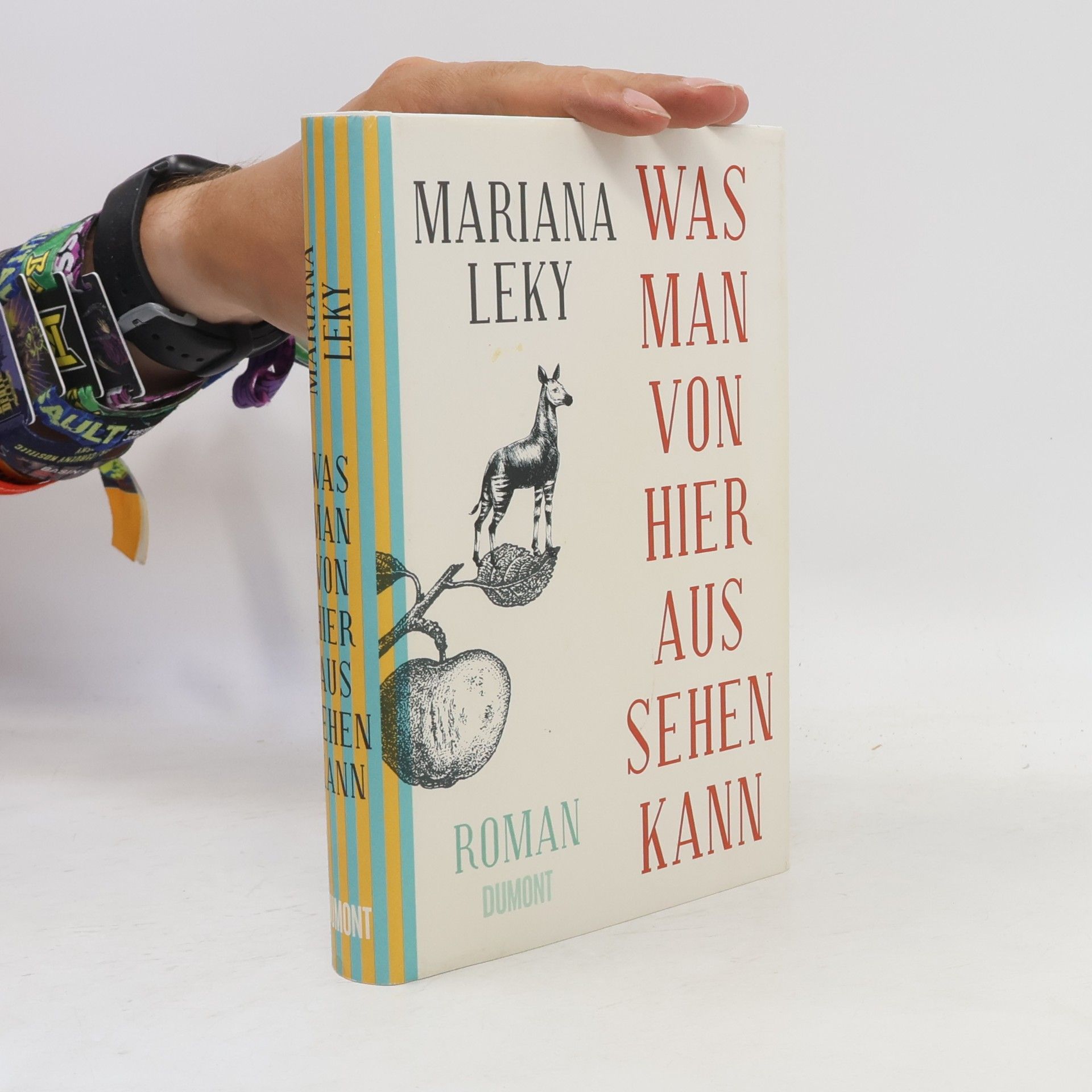 Mariana Leky Was man von hier aus sehen kann