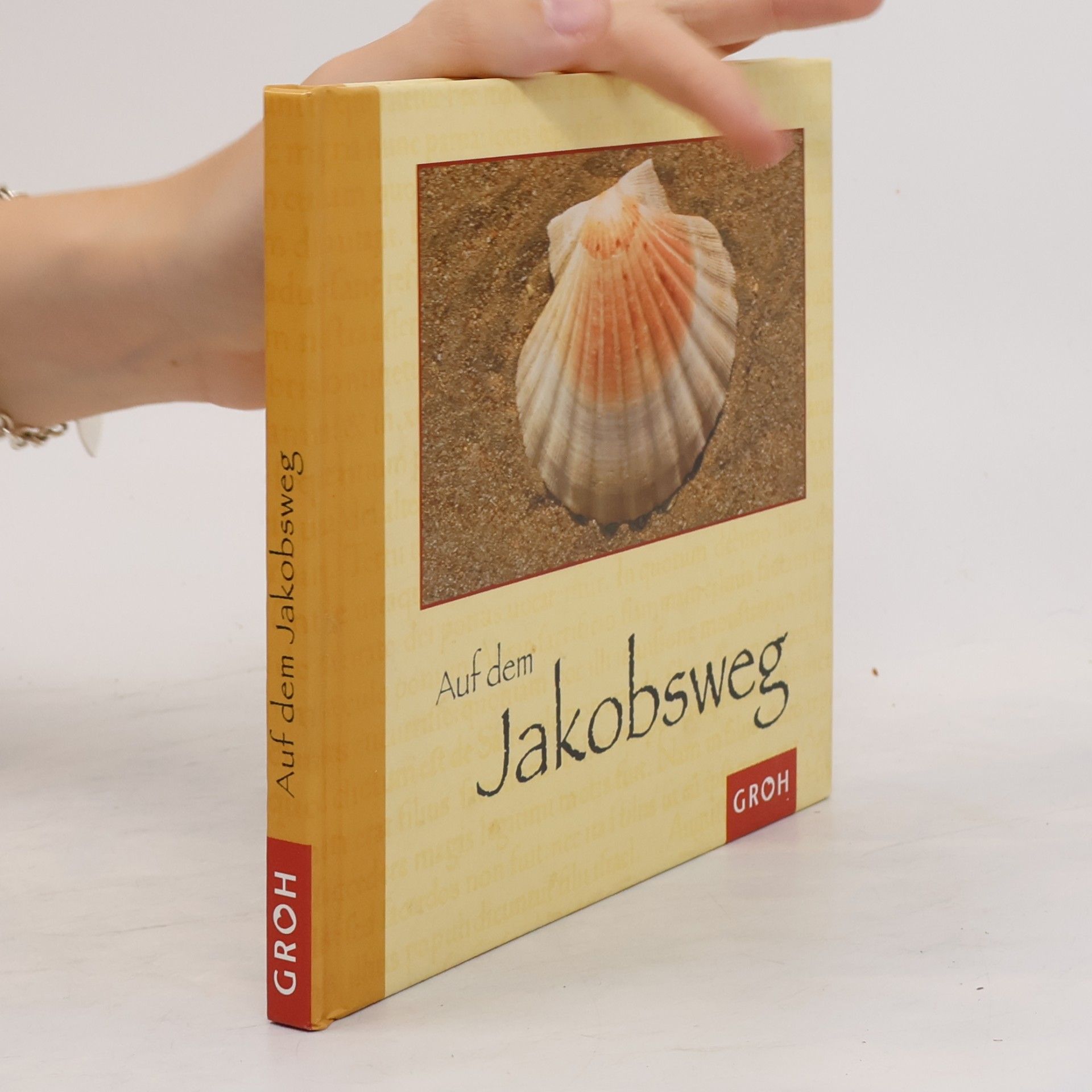 Benedikt Ambacher Auf dem Jakobsweg