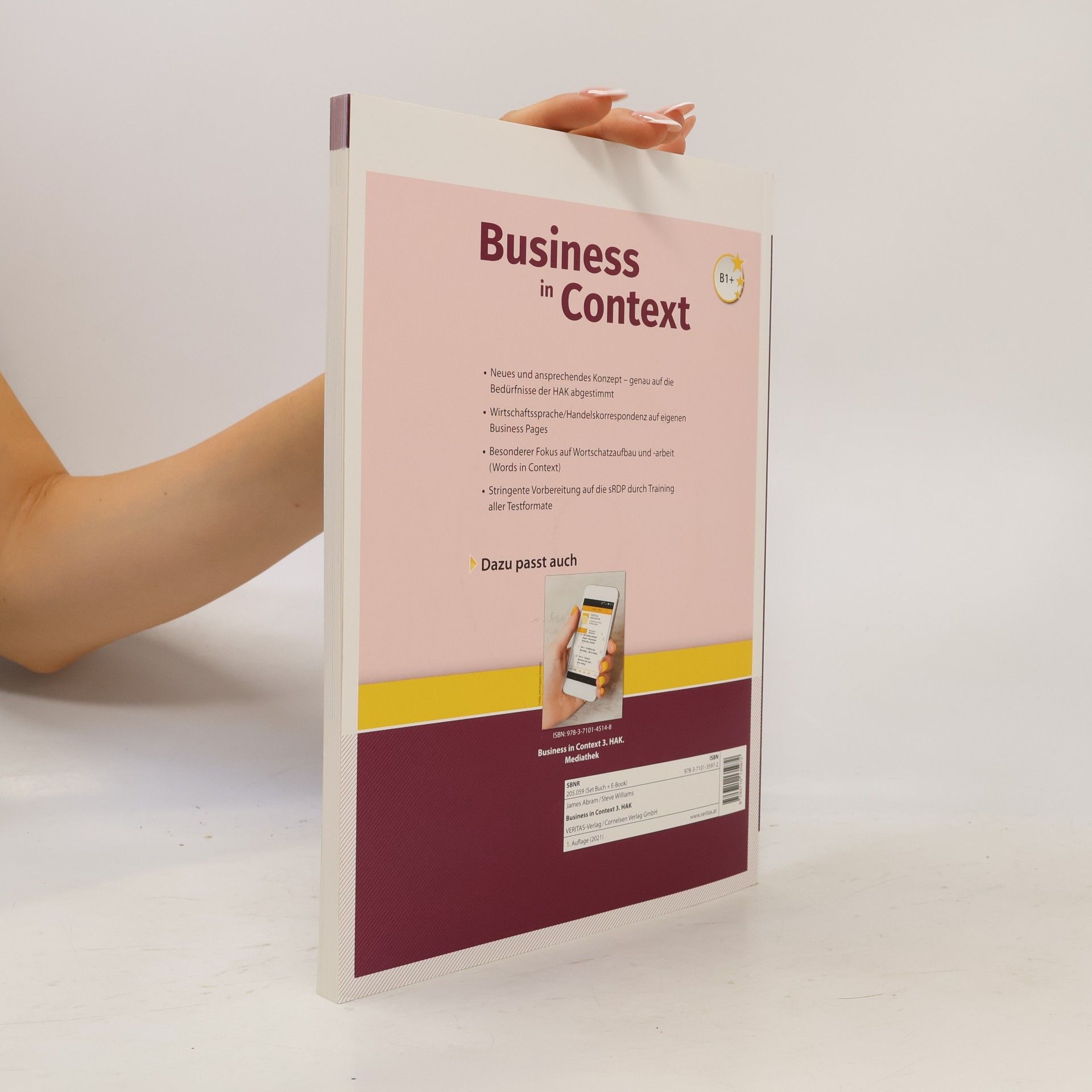 Steve Williams Business in Context 3