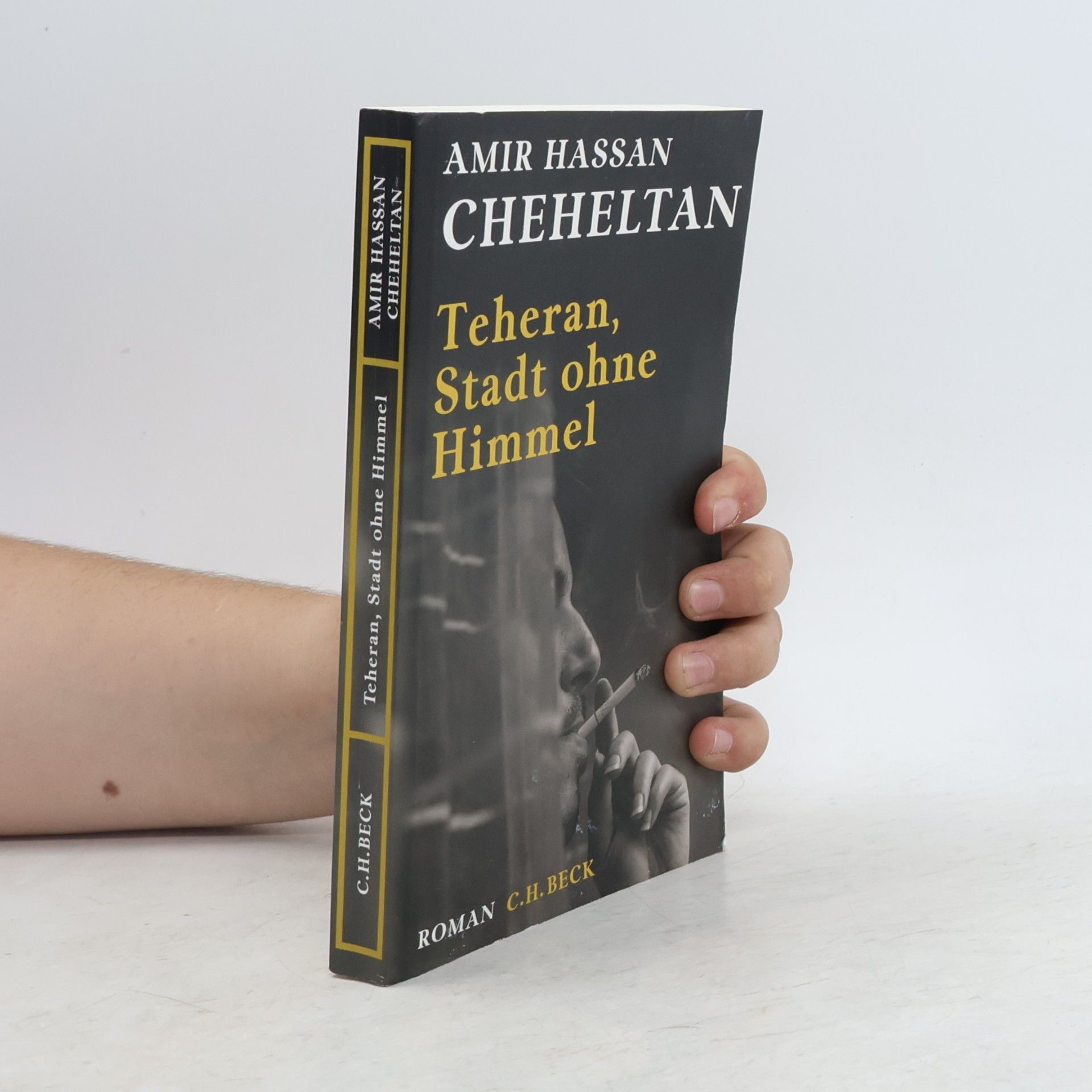 Amir Hassan Cheheltan Teheran, Stadt ohne Himmel