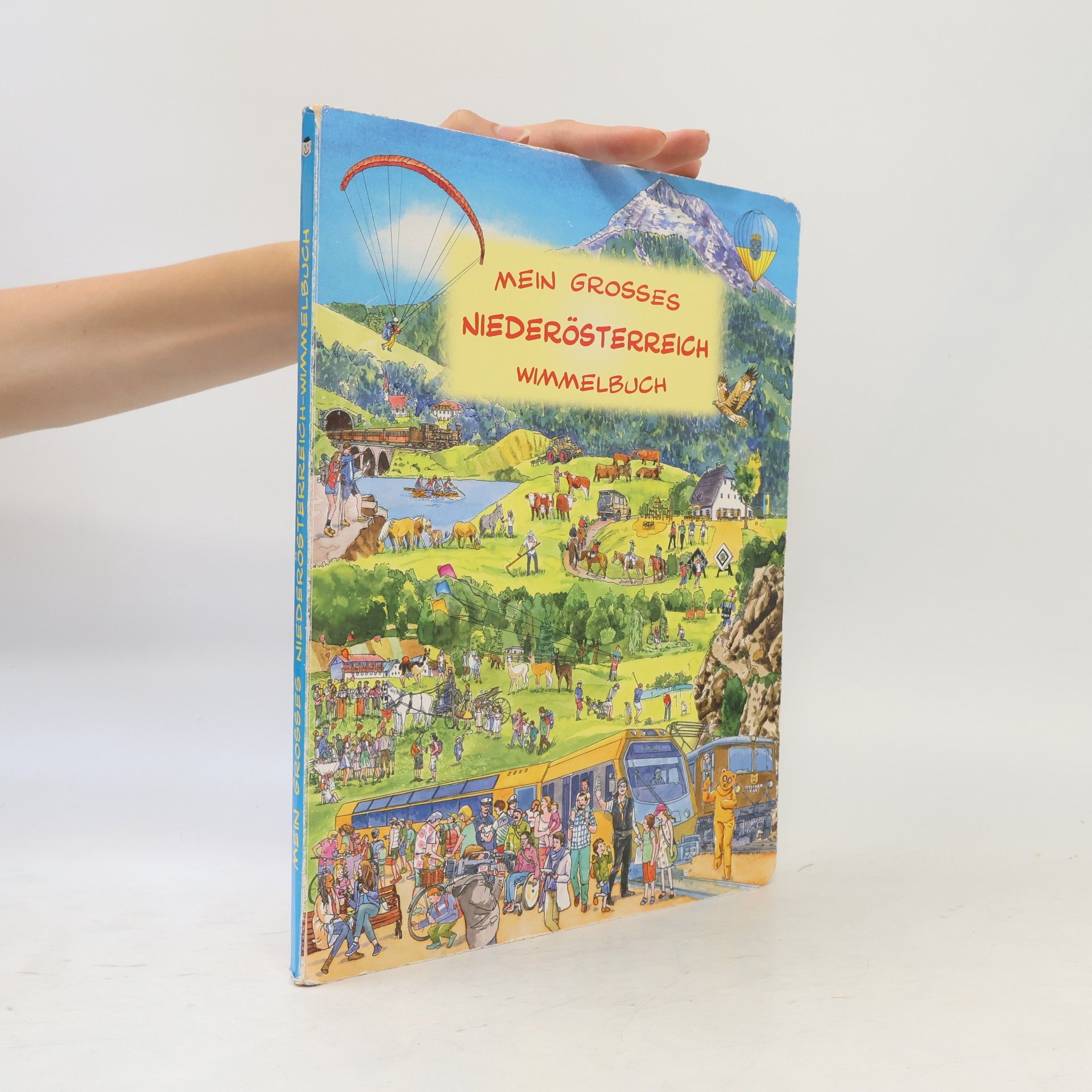 Auteurscollectief Mein grosses Niederösterreich Wimmelbuch