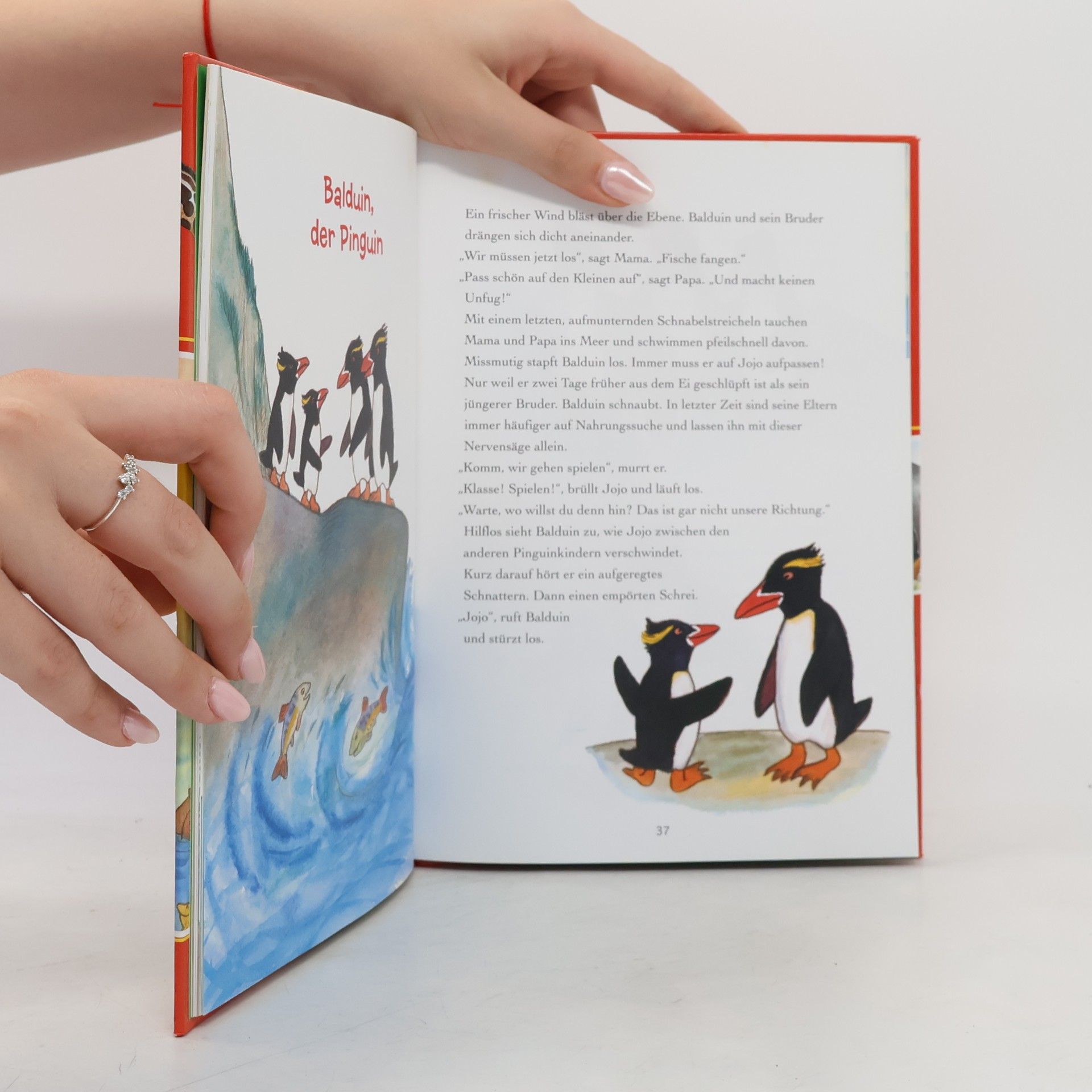 Autorenkollektiv Fröhliche Tiergeschichten