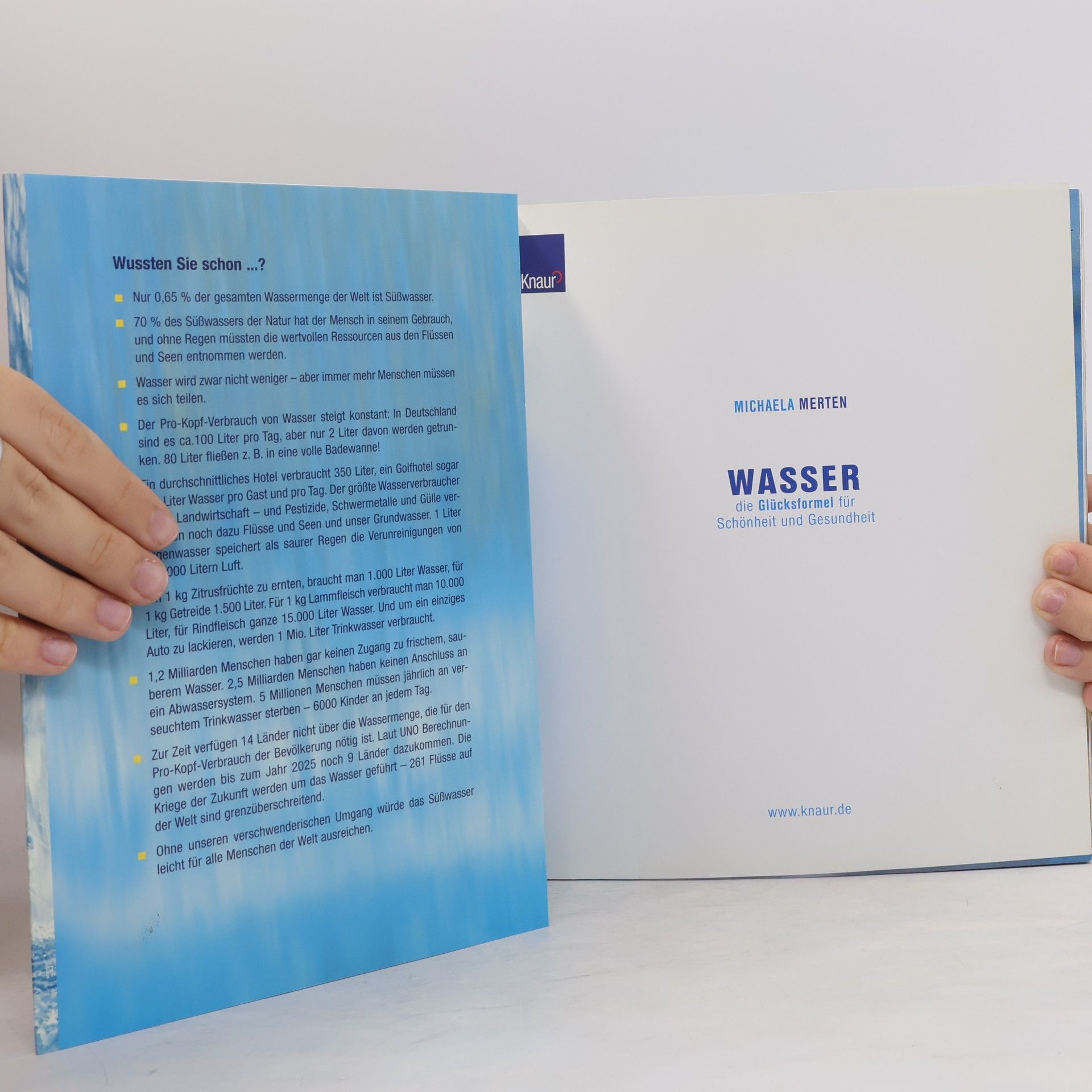Michaela Merten Wasser