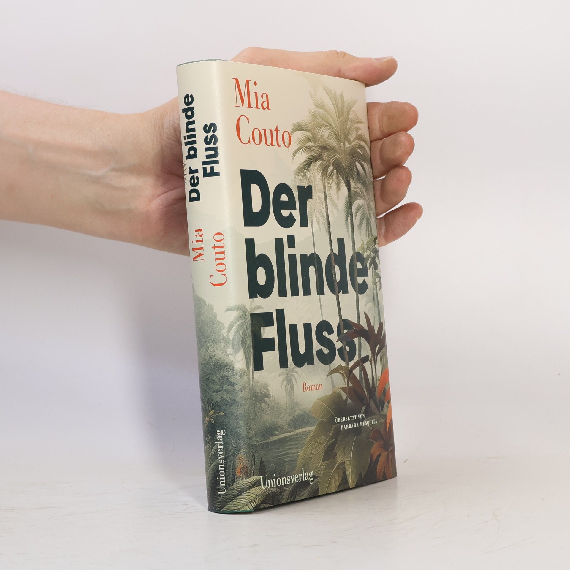 Mia Couto Der blinde Fluss: Roman