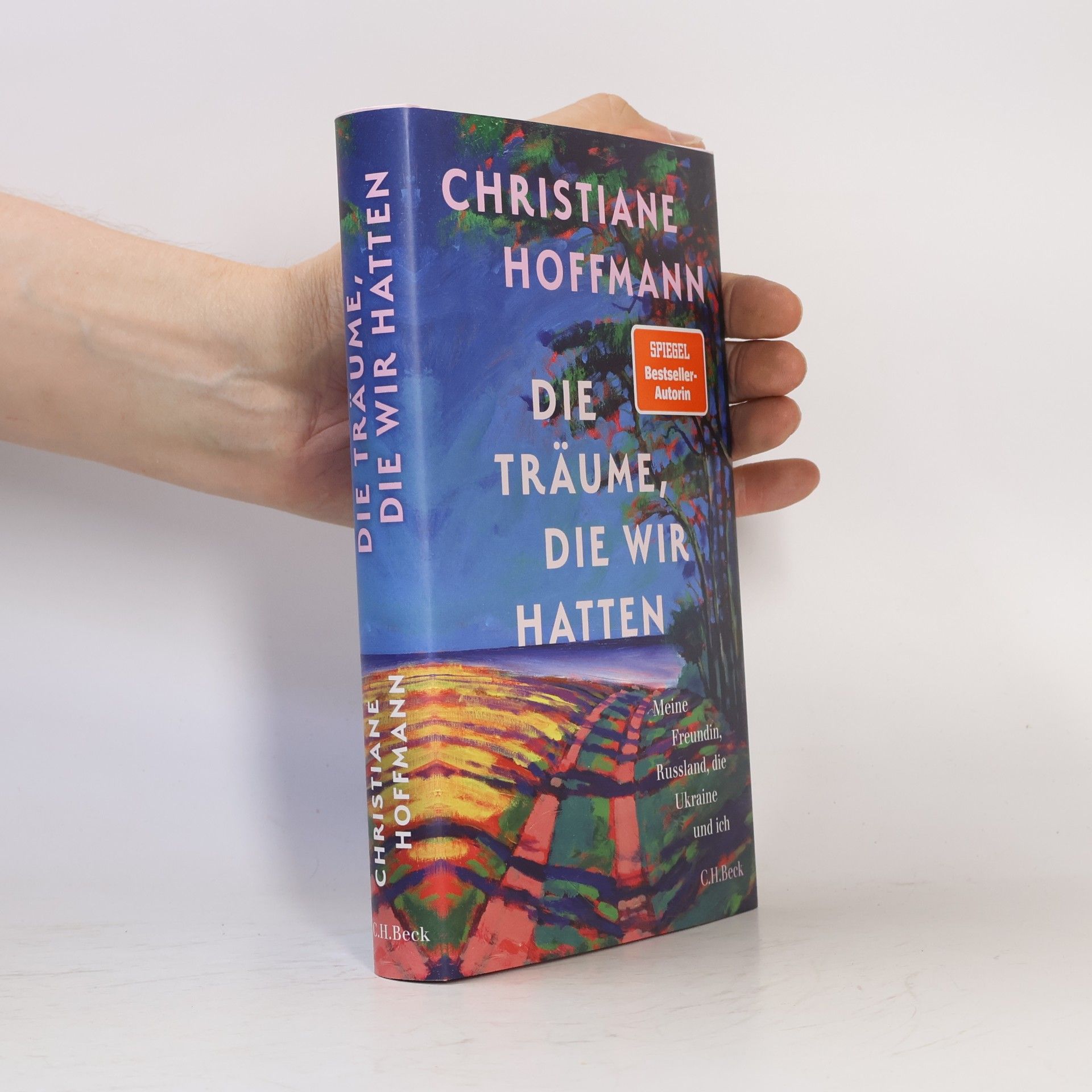 Die Träume, die wir hatten