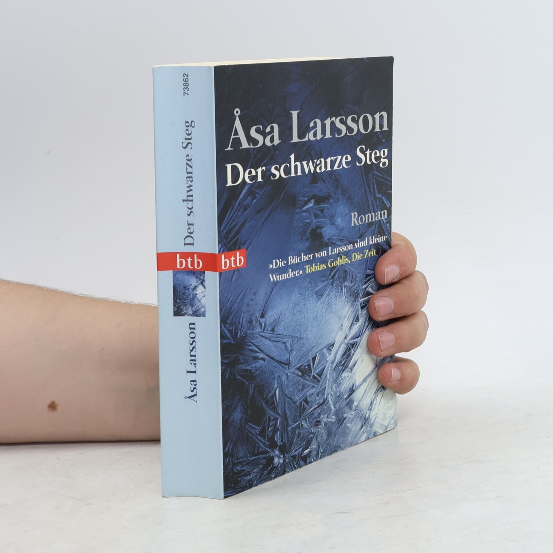 Åsa Larsson Der schwarze Steg