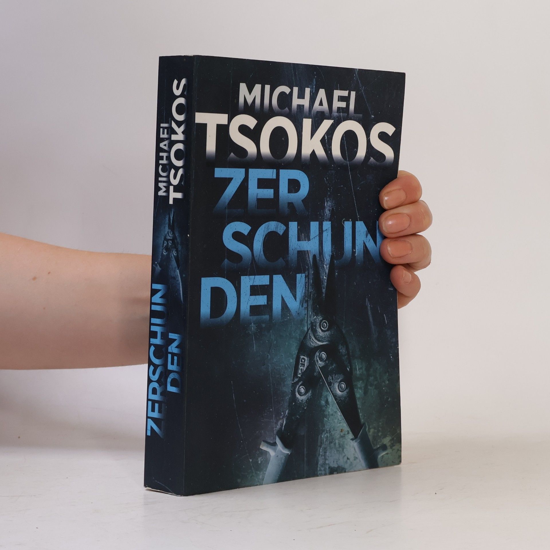 Michael Tsokos Zerschunden