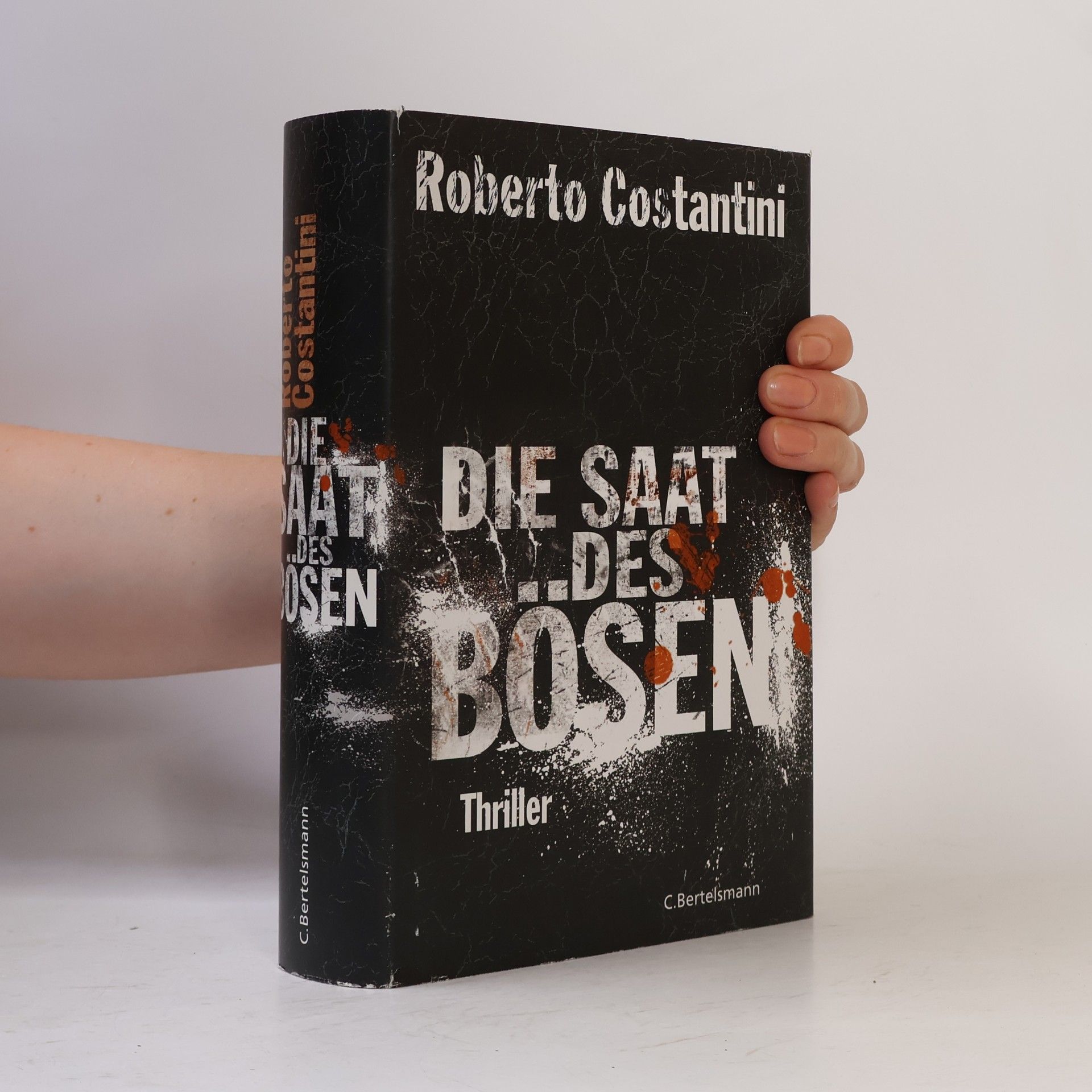 Roberto Costantini Die Saat des Bösen