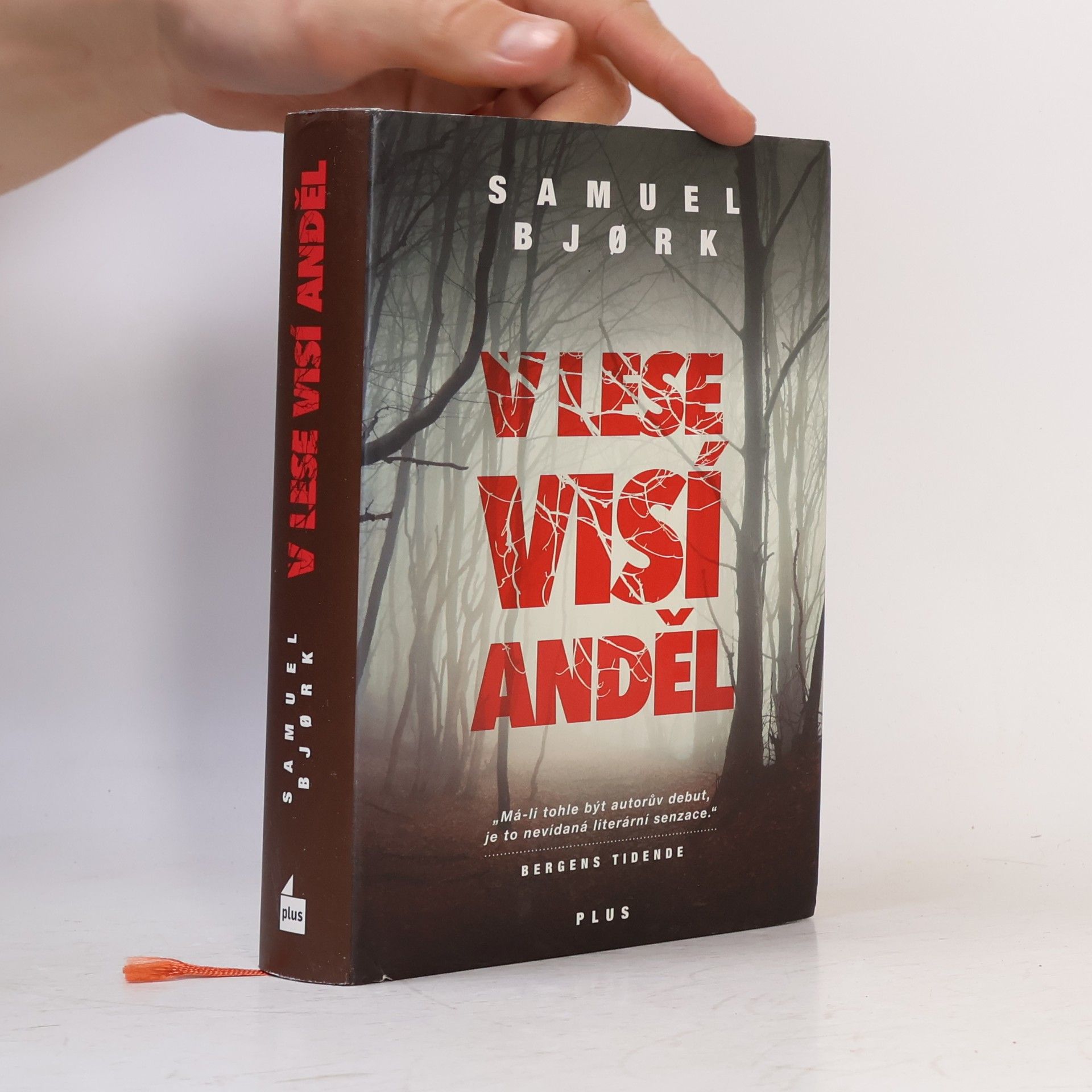 Samuel Bjork V lese visí anděl