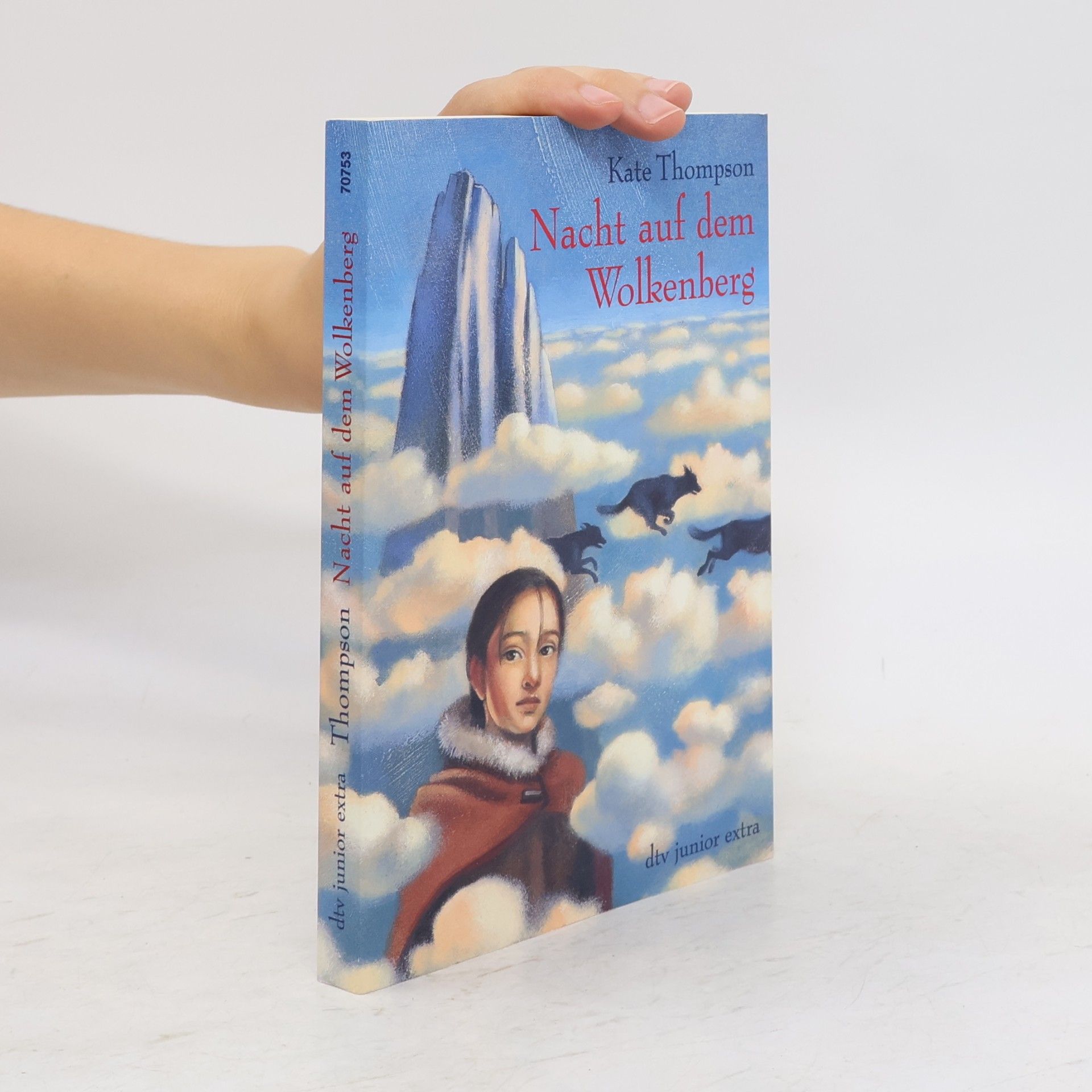 Kate Thompson Nacht auf dem Wolkenberg