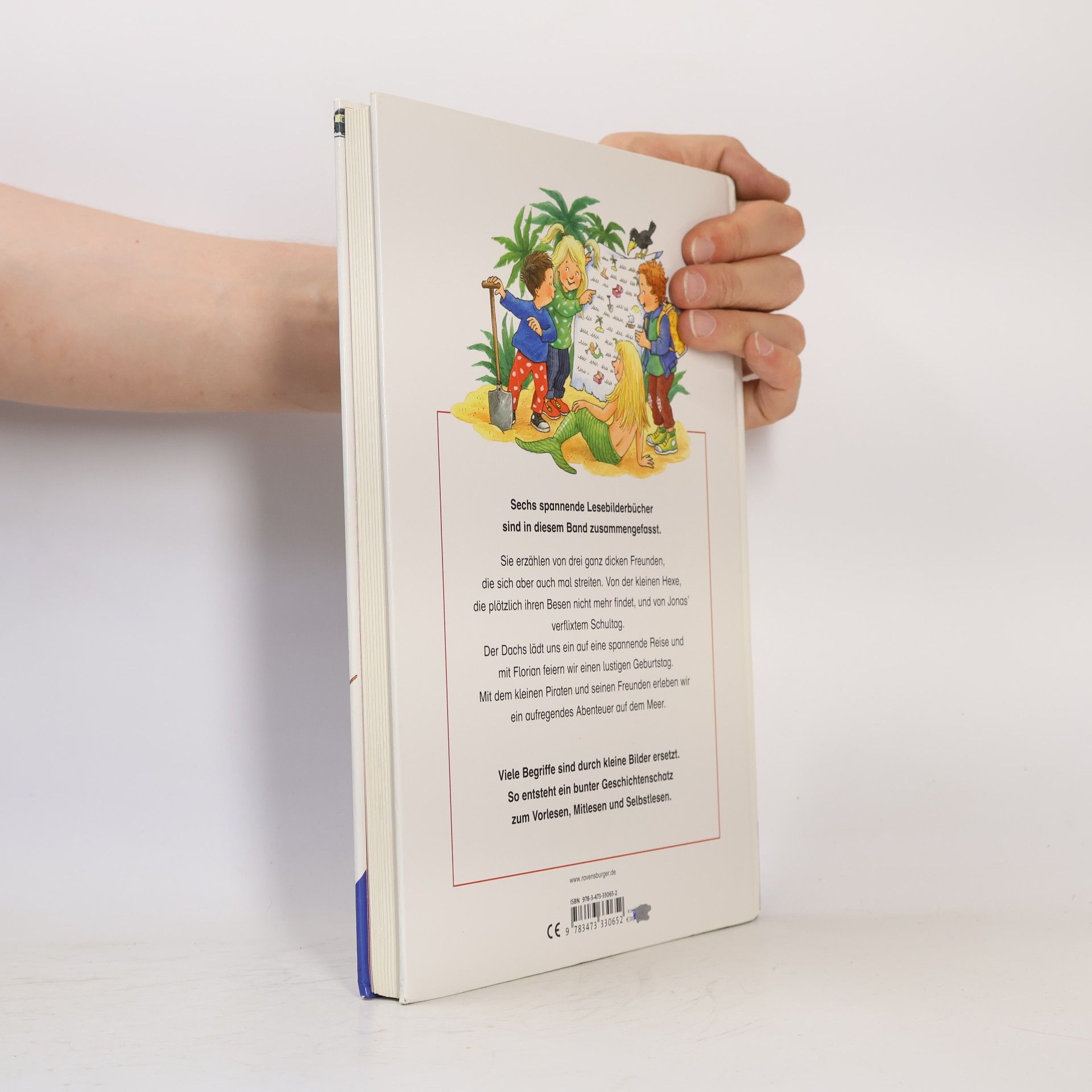 Kolektiv autorů Mein buntes Bilderlesebuch