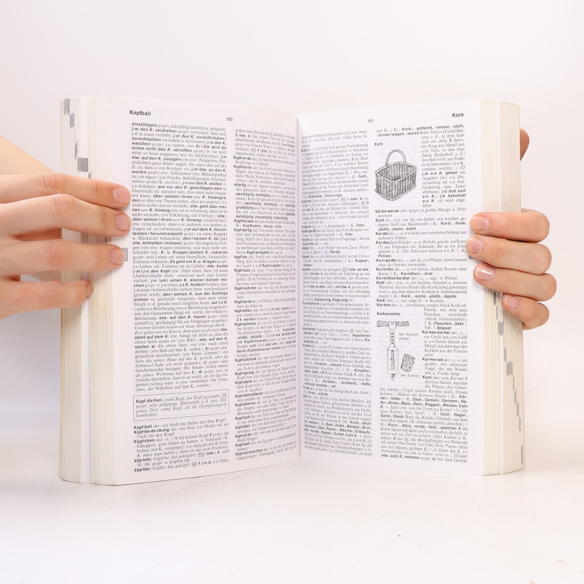 Kolektív autorov Langenscheidts Großwörterbuch Deutsch als Fremdsprache