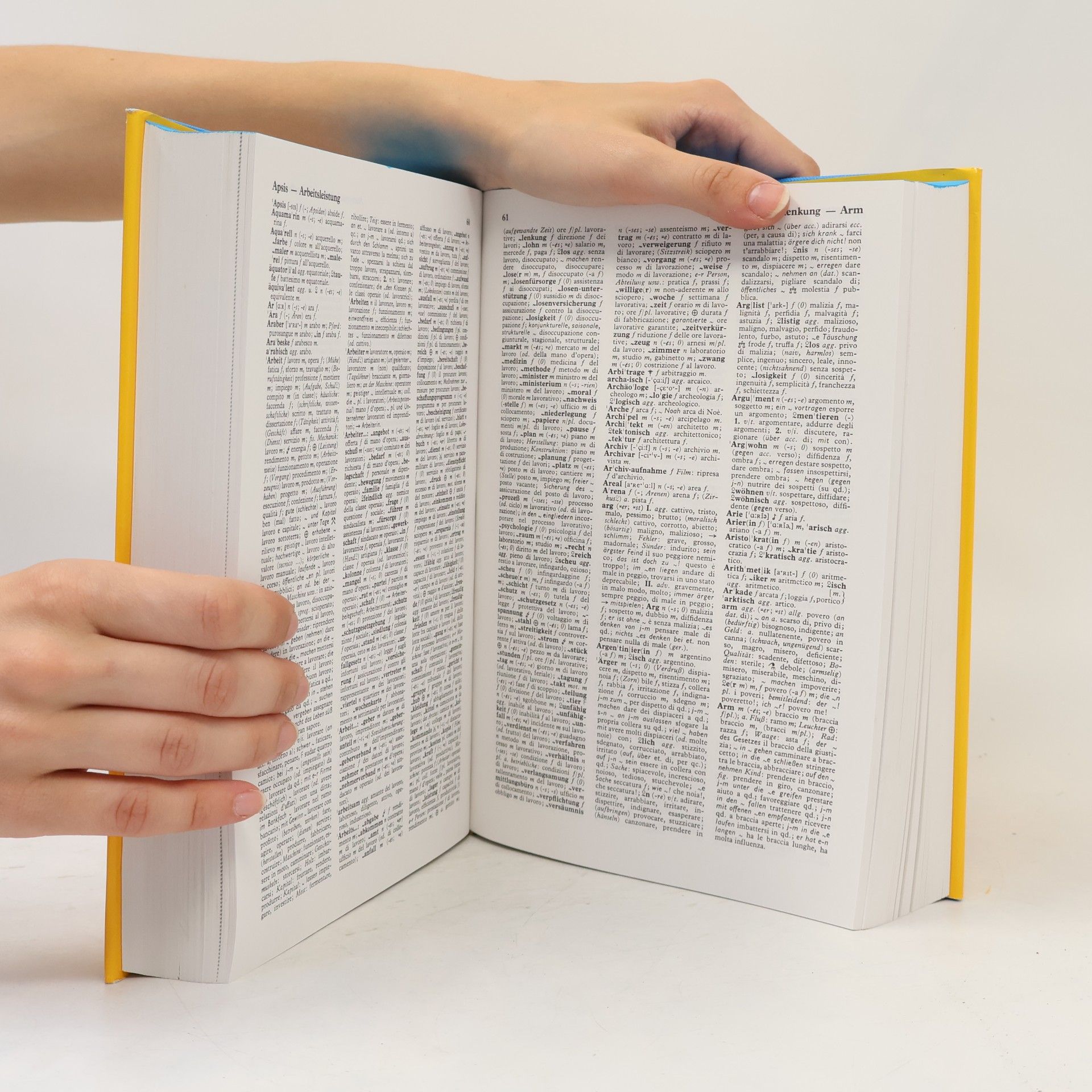 Paolo Giovannelli Langenscheidts Handwörterbuch Italienisch