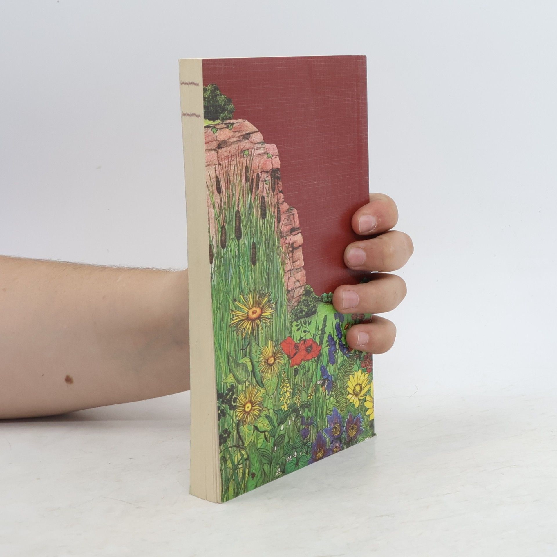 kolektiv Naturschutzhandbuch II.