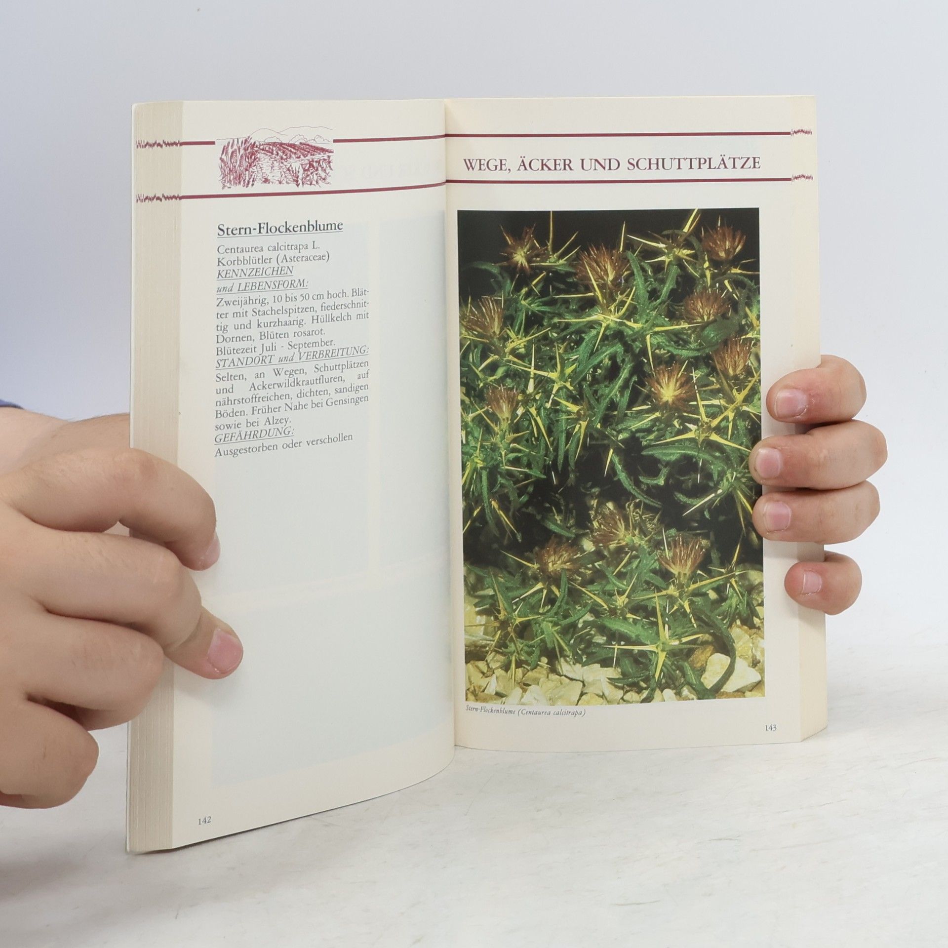 kolektiv Naturschutzhandbuch II.