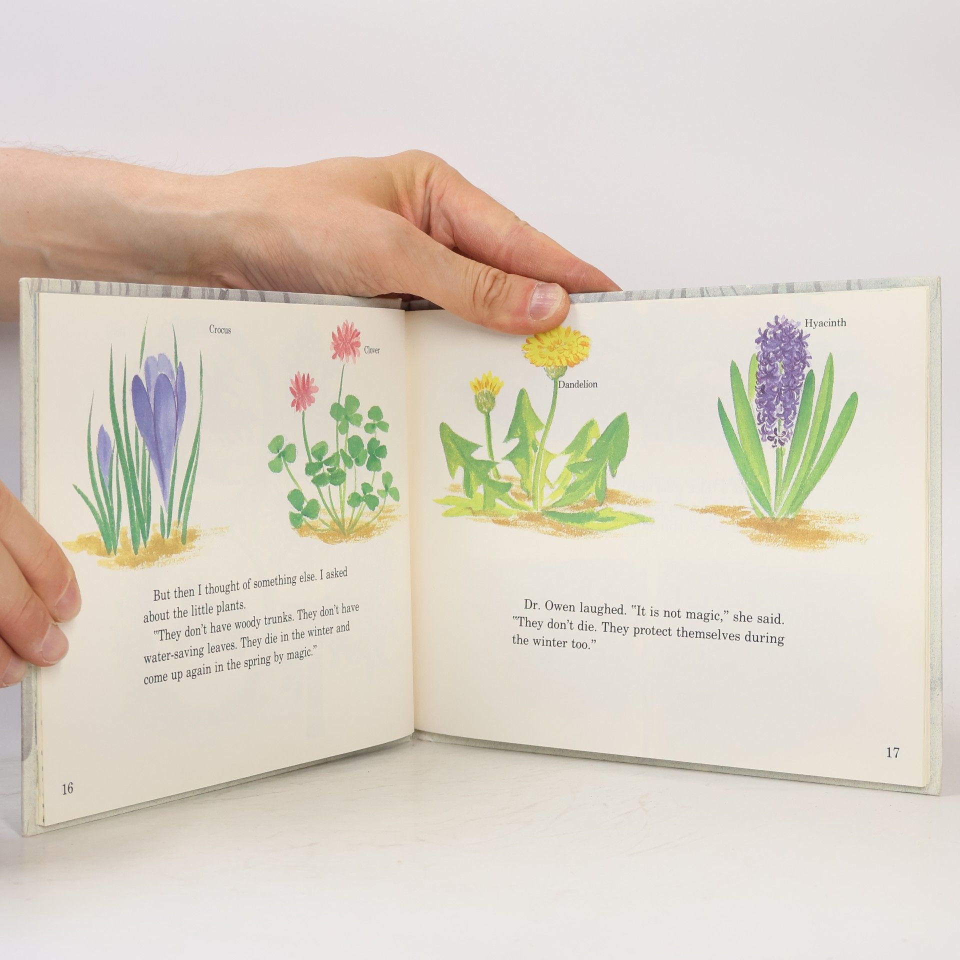 Joanna Cole Let's-Read-and-Find-Out Science Book: Plants in Winter