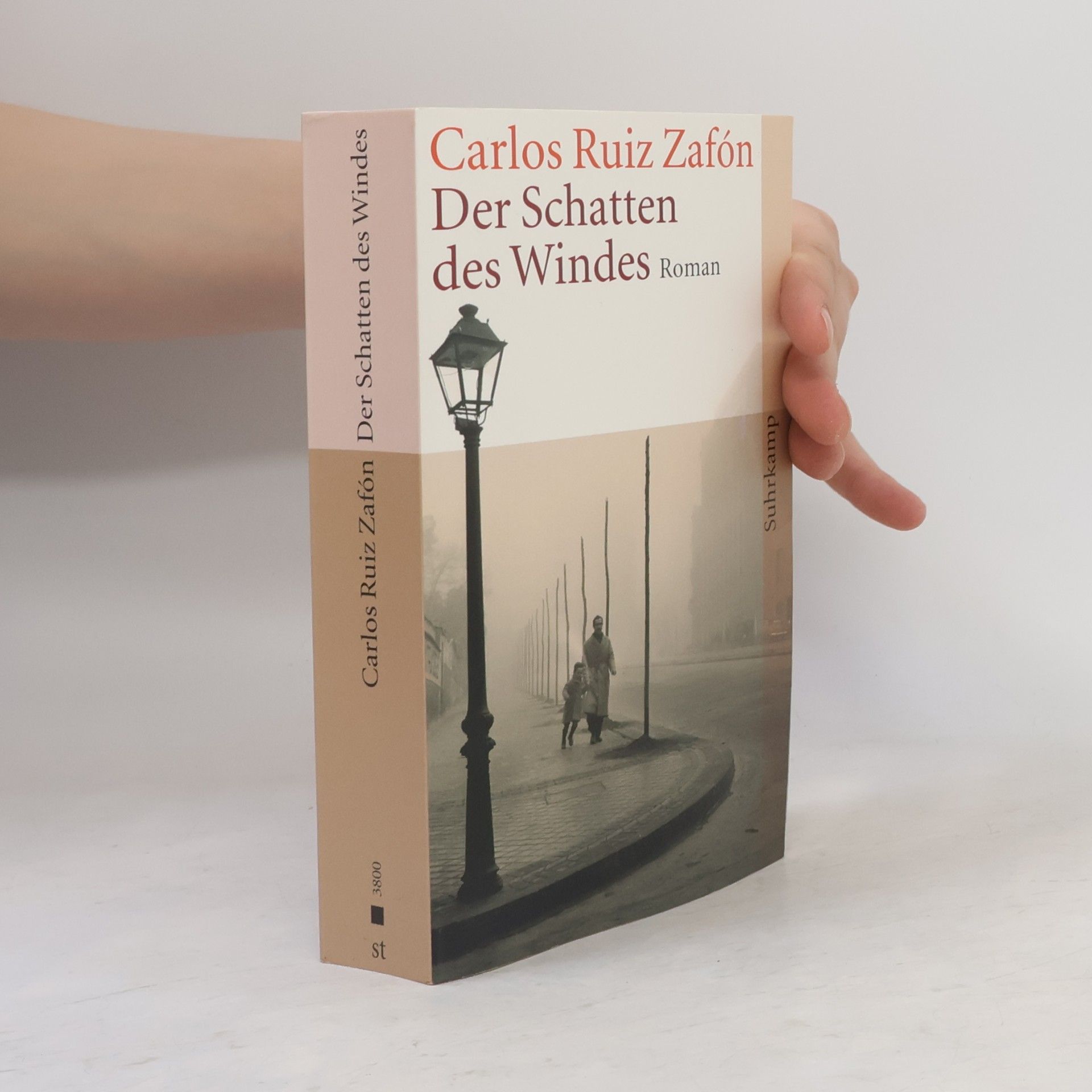 Carlos Ruiz Zafón Der Schatten des Windes