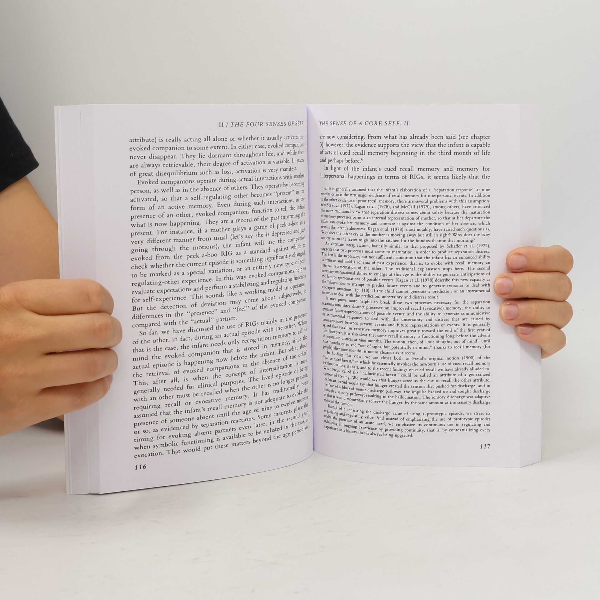 Daniel Stern The Interpersonal World Of The Infant