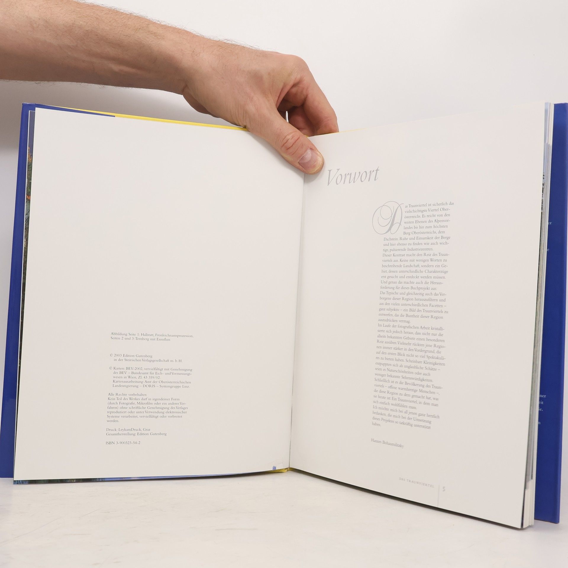 Hannes Bohumilitzky Traunviertel