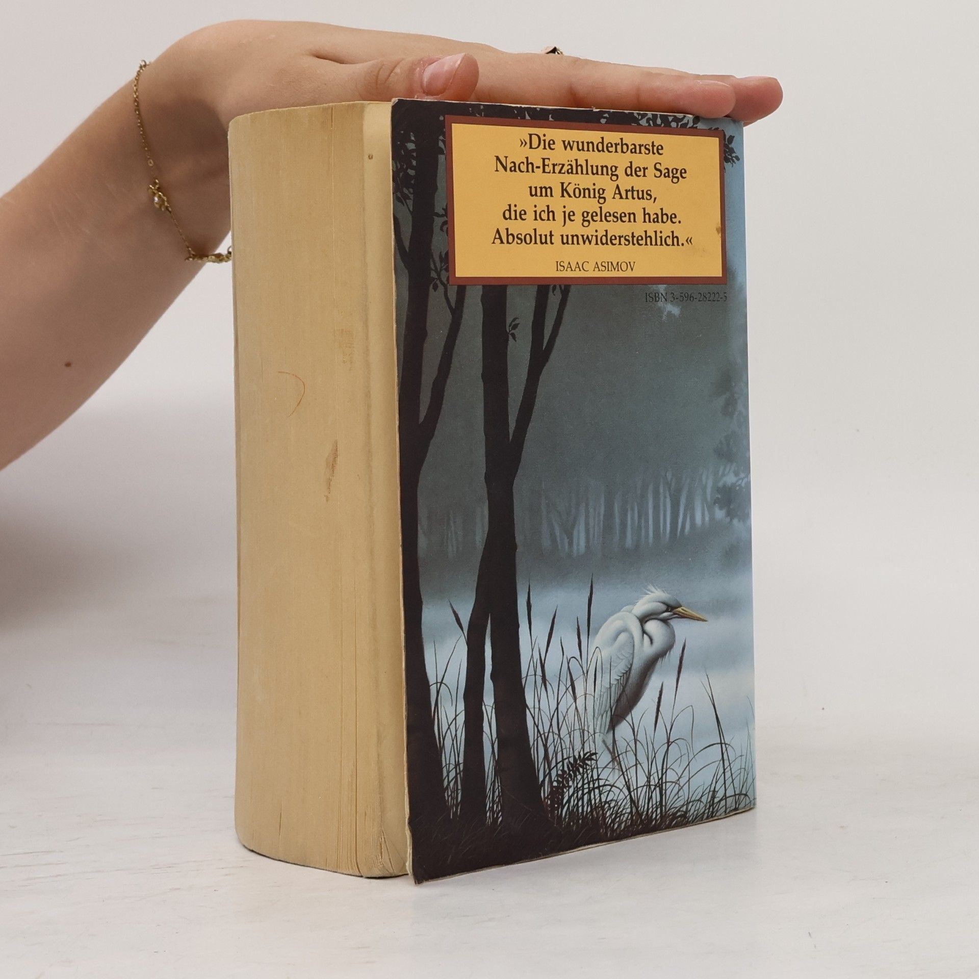 Marion Zimmer Bradley Die Nebel von Avalon