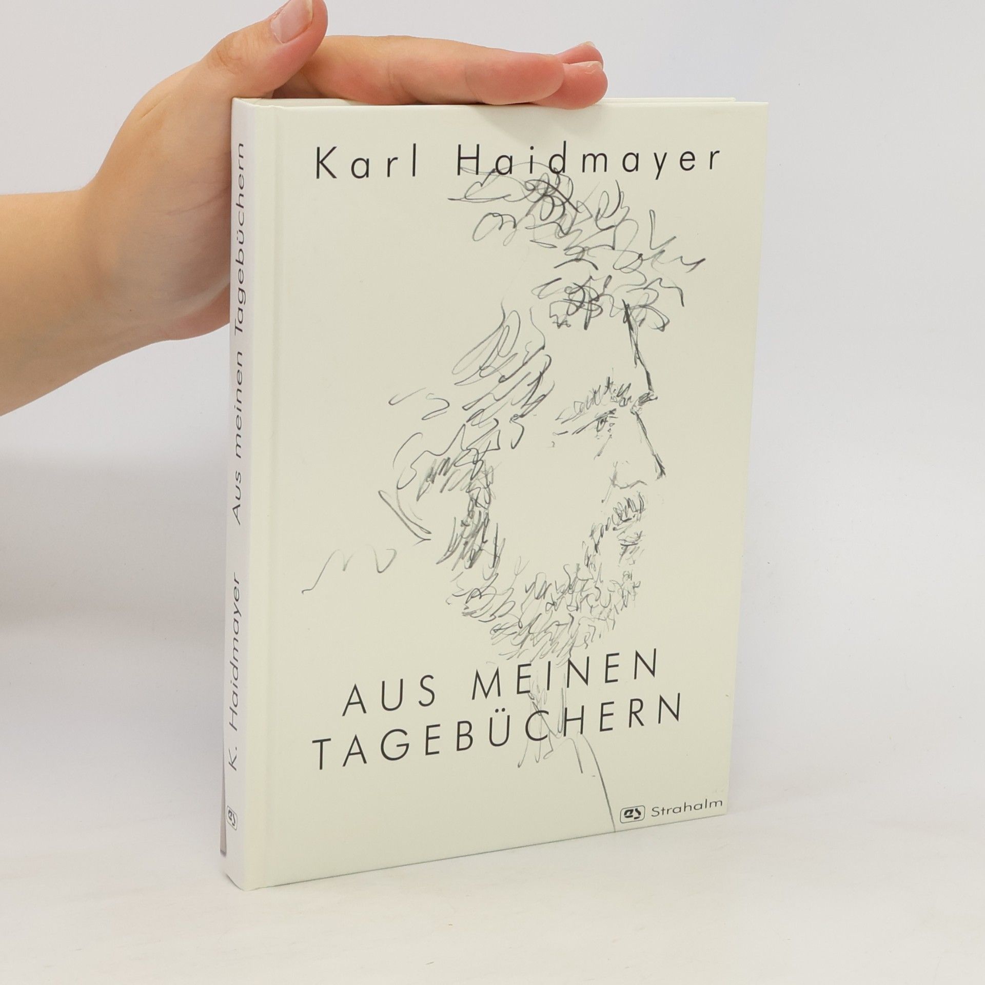 Karl Haidmayer Aus meinen Tagebüchern