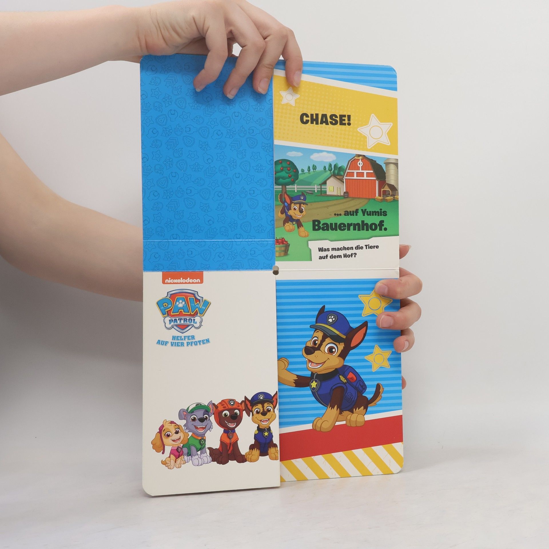 Autores varios PAW Patrol: Mix-Max mit den Fellfreunden