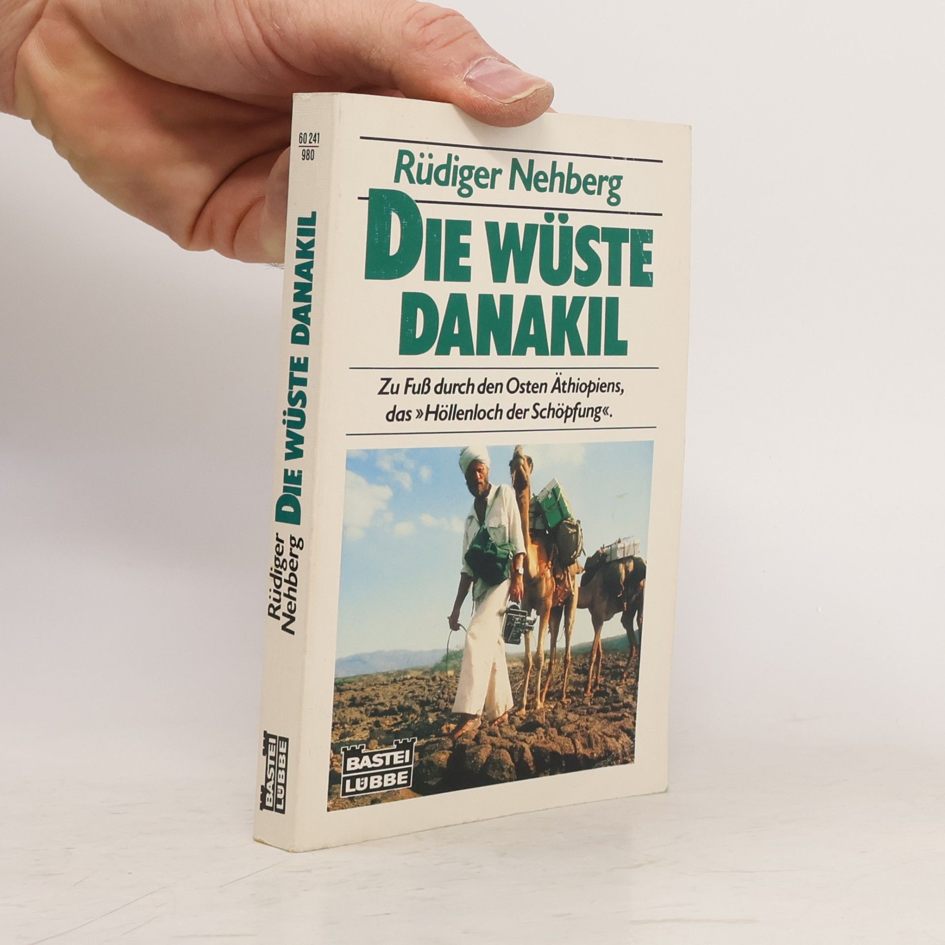Die Wüste Danakil
