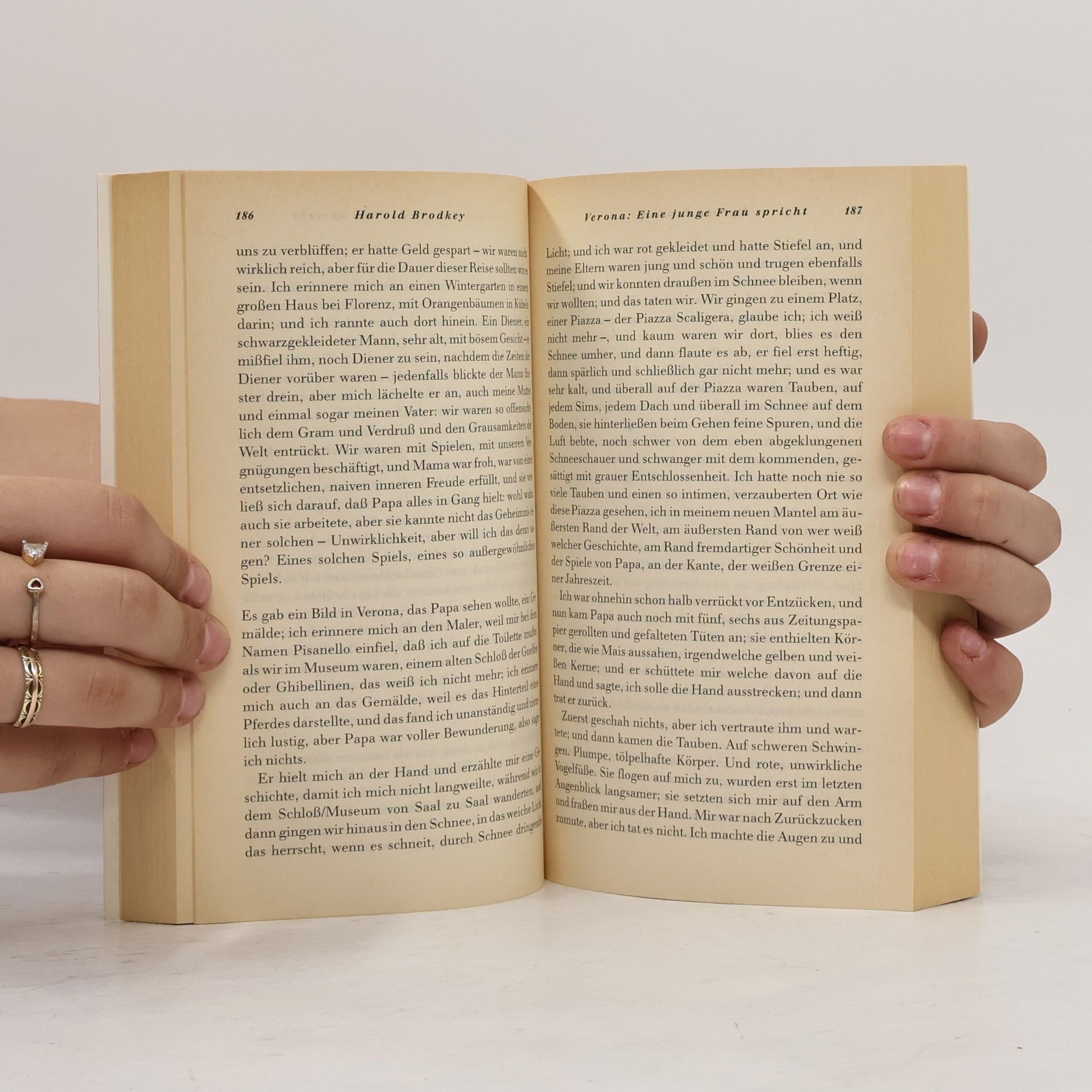 Harold Brodkey Engel. Nahezu klassische Stories 2