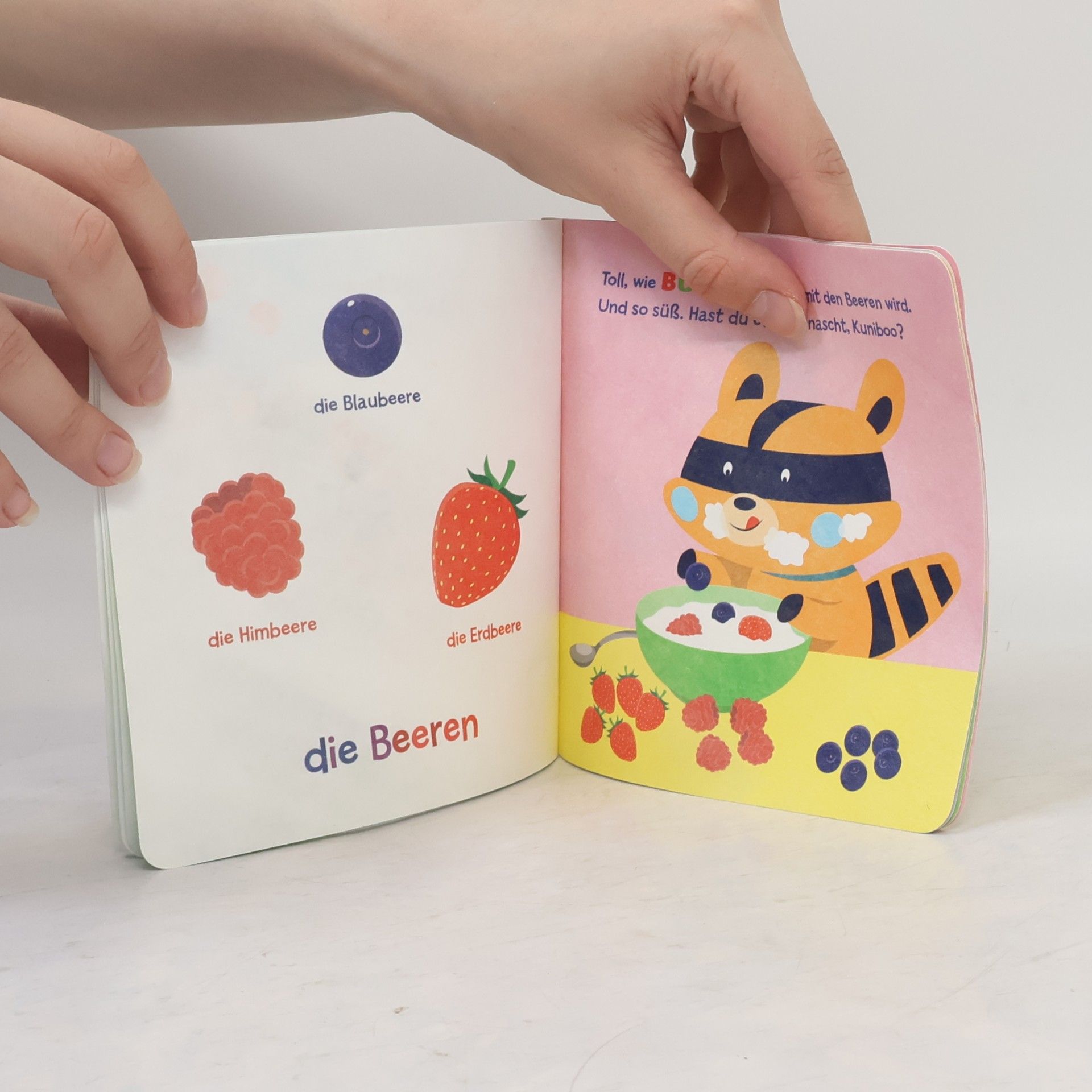 Autorenkollektiv Kuniboo. Entdeckt das Obst