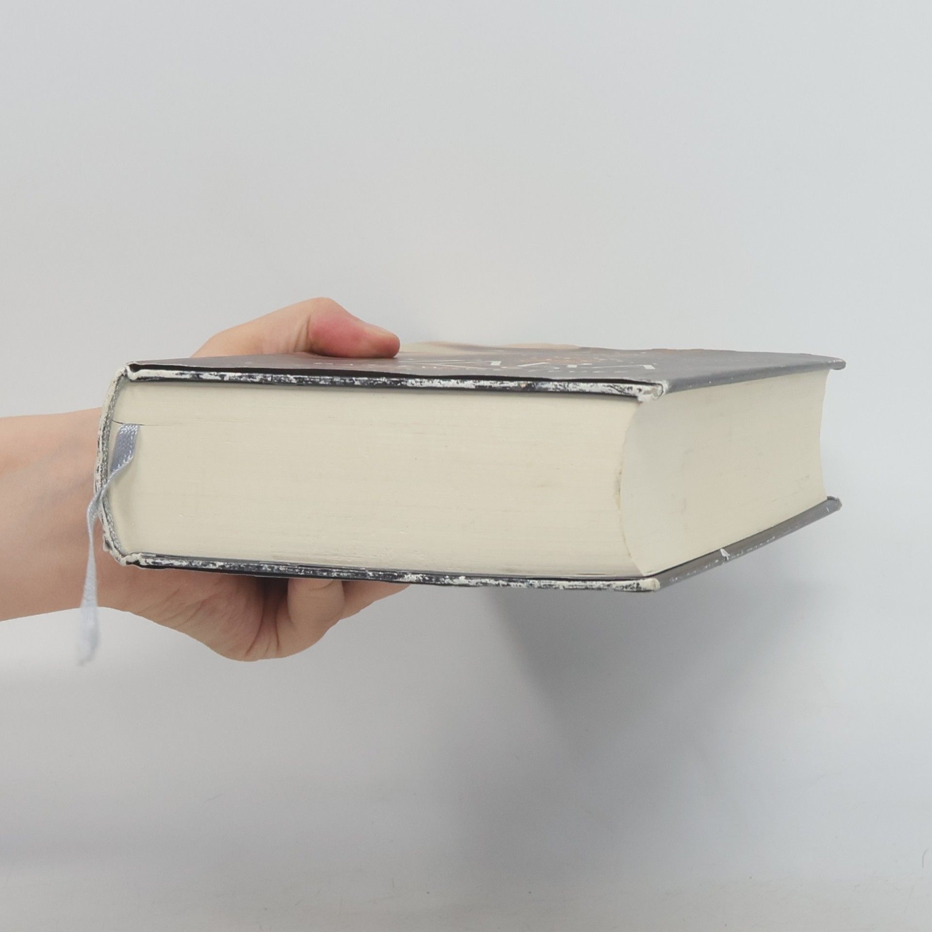 Julia Dippel Das ewige Feuer