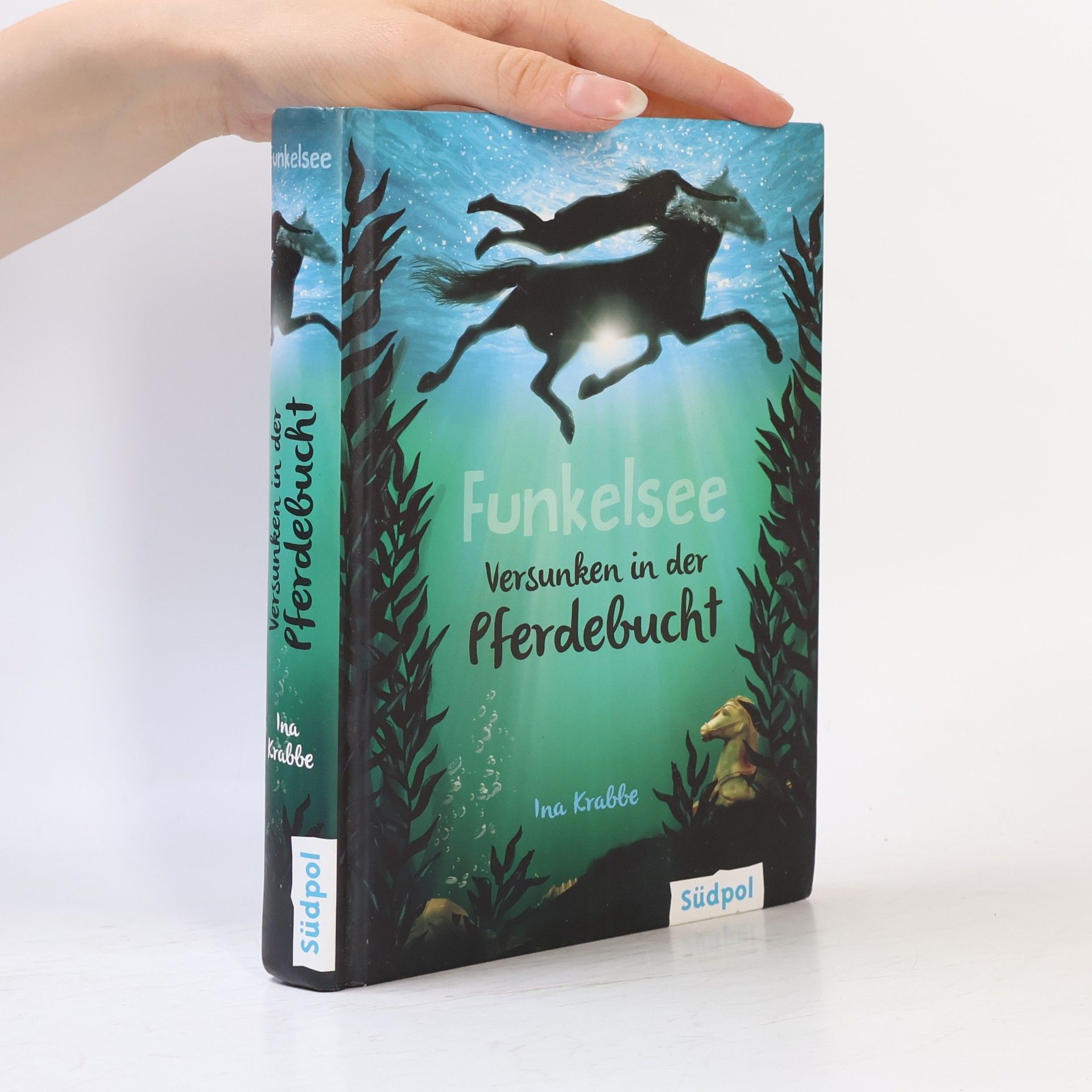 Ina Krabbe Funkelsee - versunken in der Pferdebucht